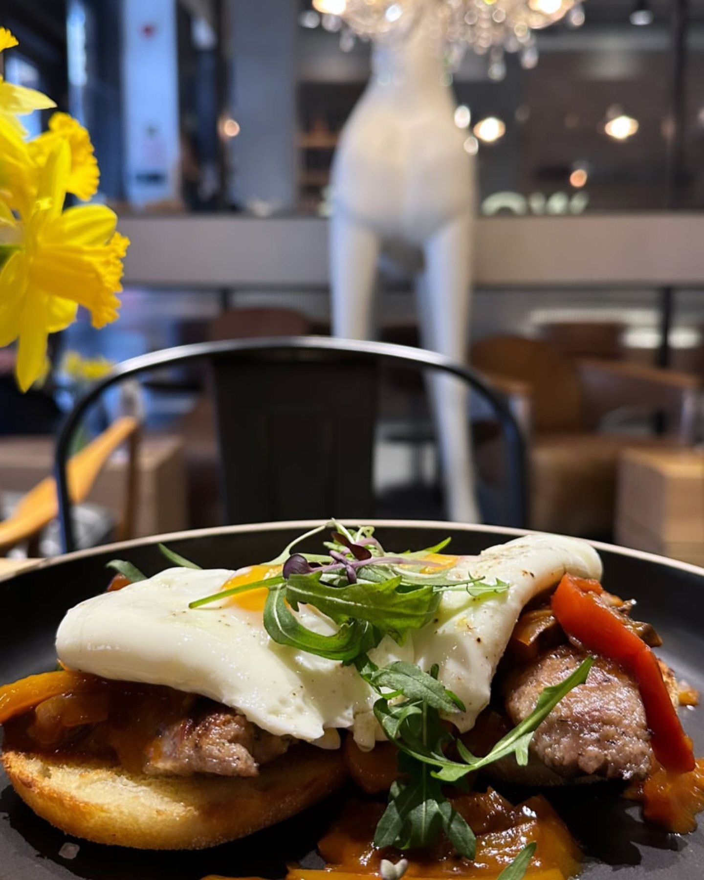 Brekkie time at Wolfy’s Bar 🥚 with a 🦒