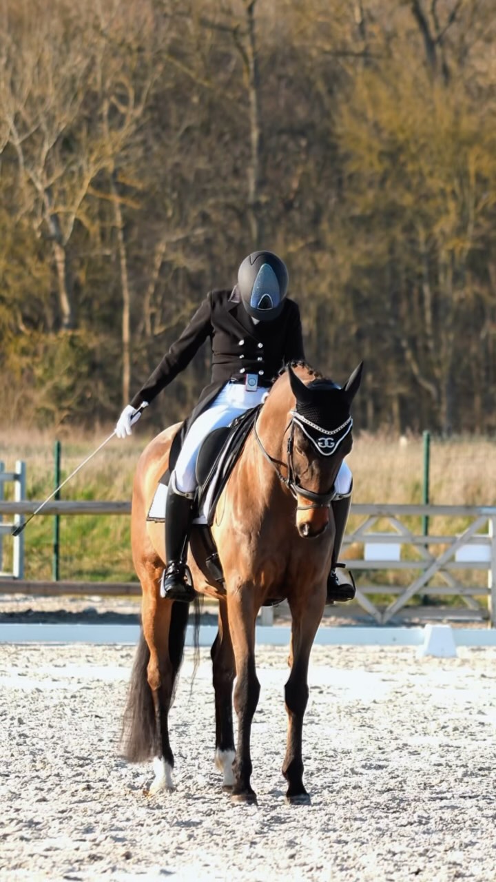 @johanna_hellborg & Zlatan ✨
📍 Dressage des @ecuries.de.st.fargeau
@mareasoutry @quattrinasophie
#dressage #horsevideo #camsoagency