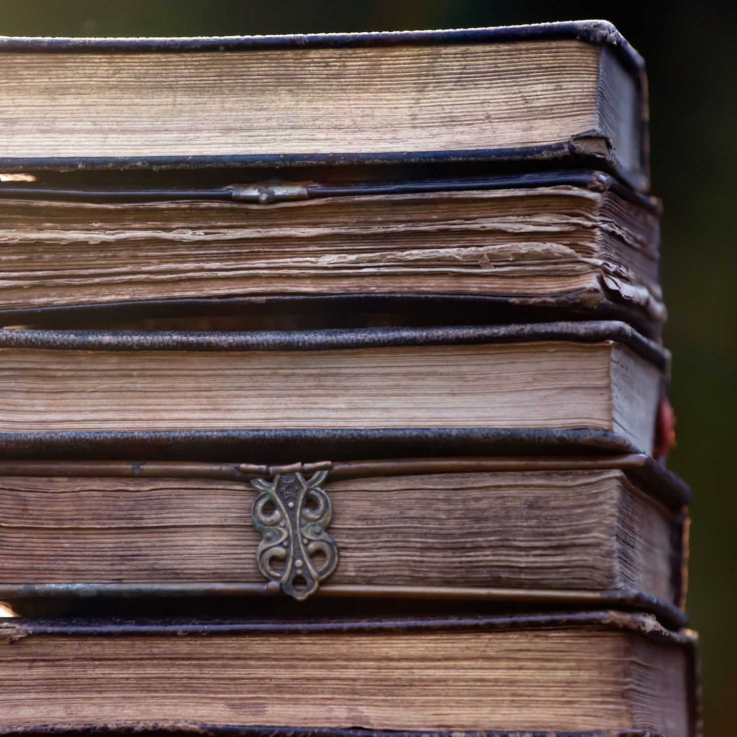 Some of my library's anatomy books about different species of creatures unknown to humans, naturally.