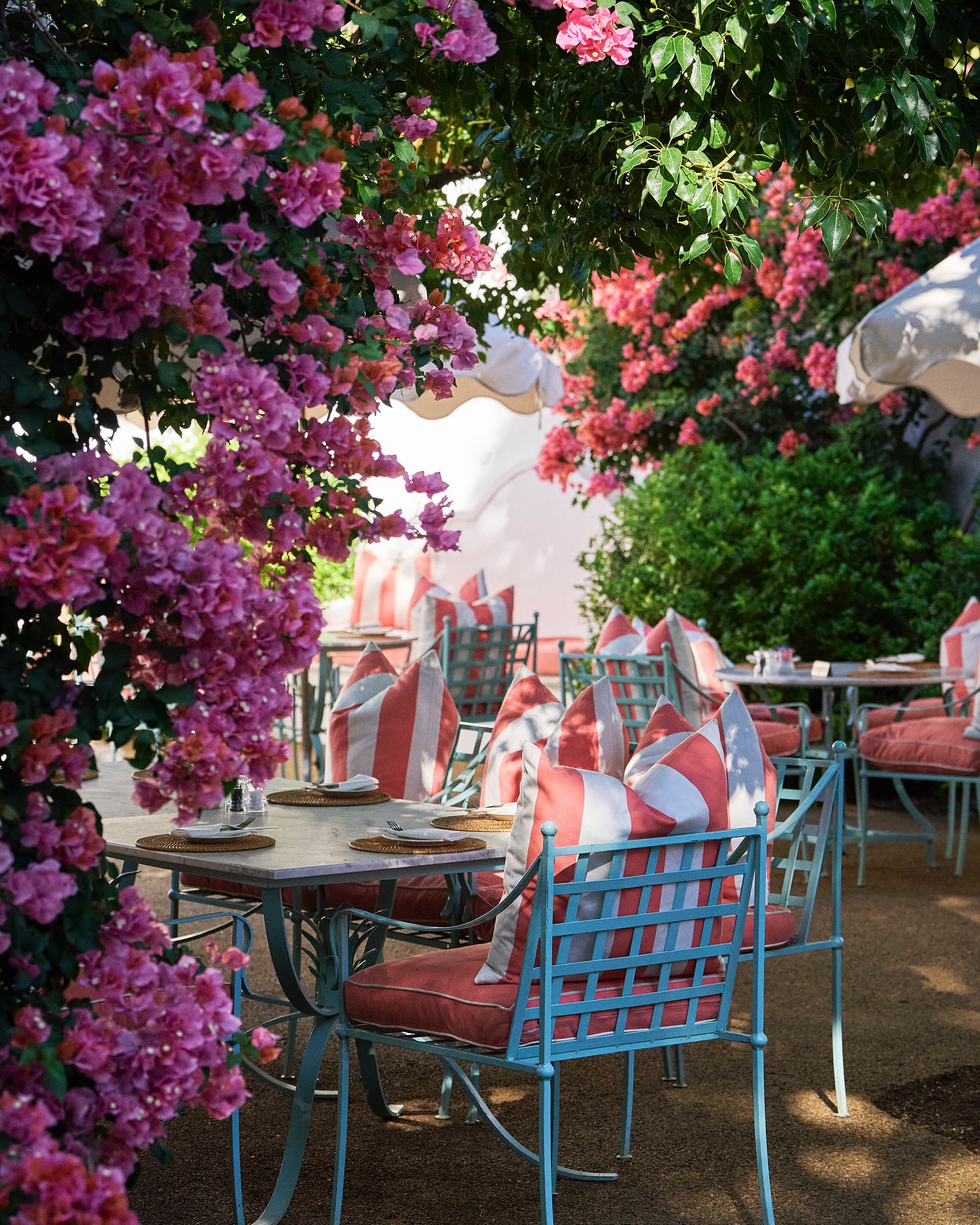 Welcome to the Bougainvillea Courtyard of Dreams, where every corner whispers a story and every moment inspires magic.
.
.
.
#lacotte #lacottefarm
#franschhoek #Franschhoeklife
#restaurant #winelands #courtyard