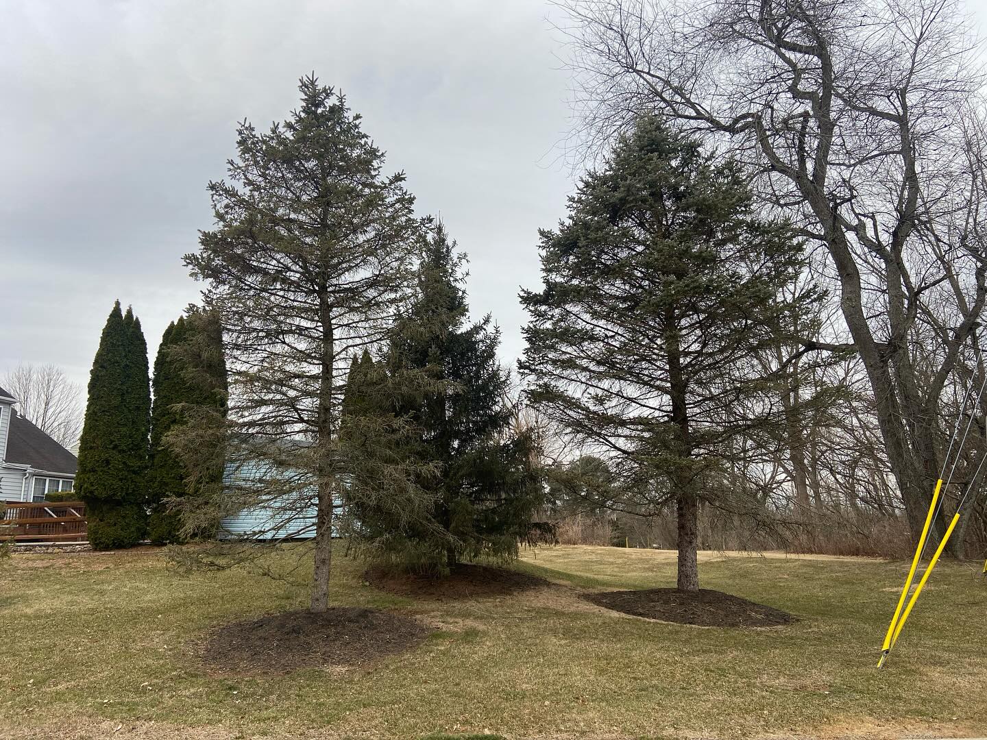 Quick little takedown and topsoil job for the morning #wpm #willspropertymaintenance #lawncare #treecare