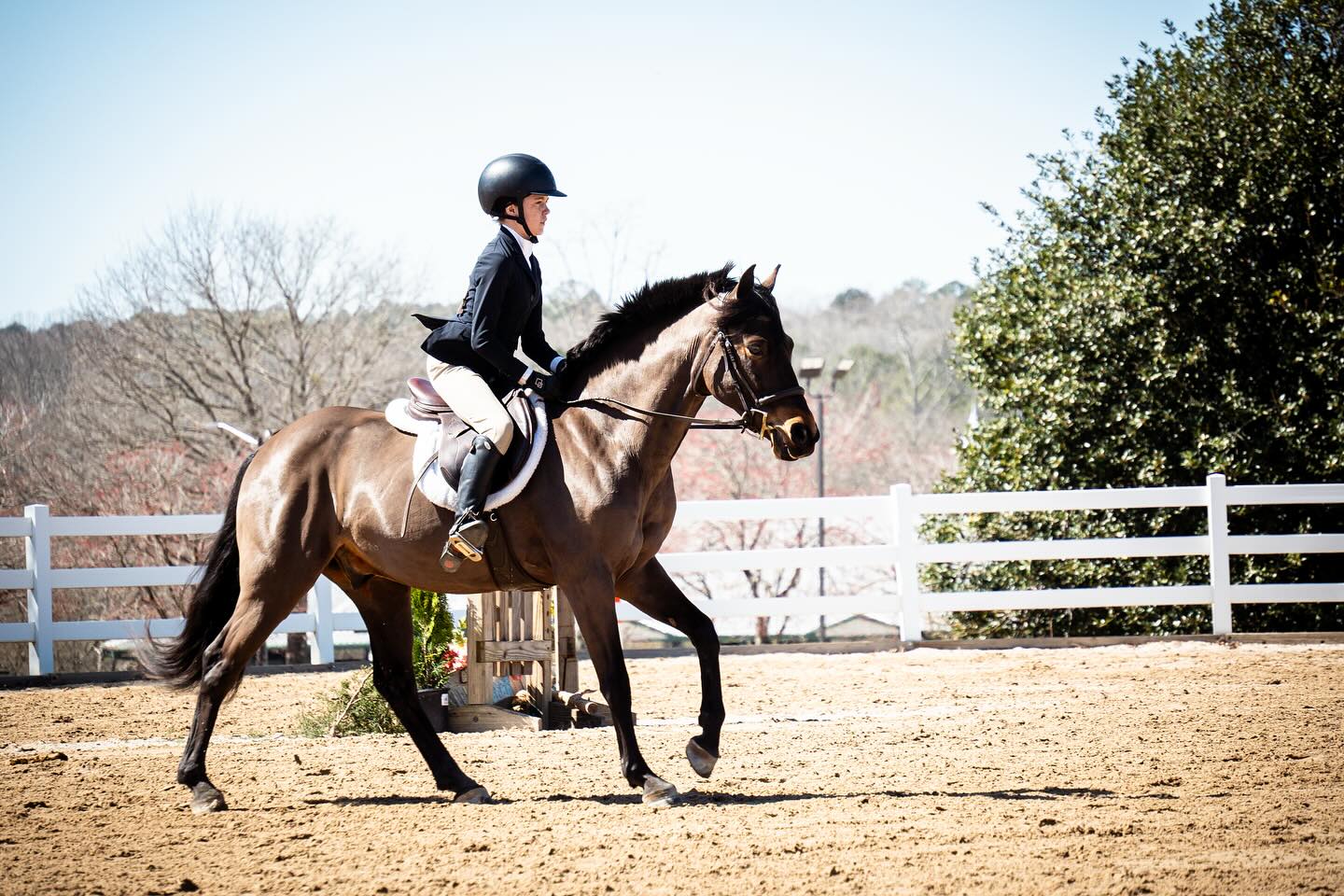 All proofs from Horse Show Ventures 2025 GIHP Season Opener have been uploaded for purchase! ⭐️
— Trainers have been sent photo proof email links. You can view photo proofs (pony ring, beginner ring, jumper ring, main hunter ring) under the photo proofs tab on my website. Thank you for a great weekend! Please contact me if you have any questions. ☺️ https://www.maneframestudio.com/photo-proofs
© Mane Frame Studio || Rhiannon Williams
— at Georgia International Horse Park.