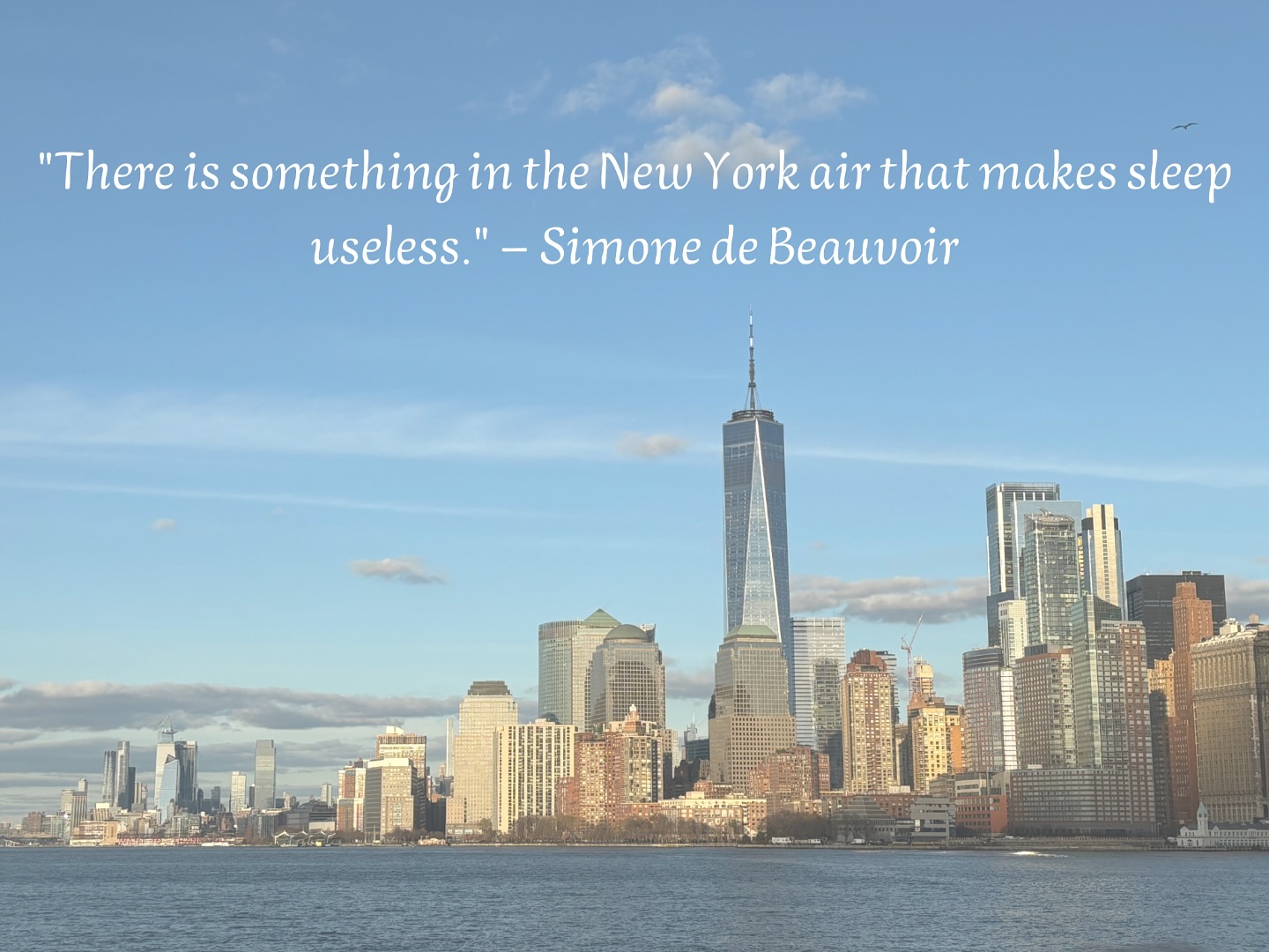 Only New York lovers can understand what this means…
Every person I met who went to this city just told me “there is something in New York, that just tells you to go”, that is true. 🏙️🗽
You would love to visit the Big Apple but you don’t know when? Read the last article in the link in bio!
#newyorkcitylover #newyorklife #explorenewyork #dailyquotes #newyorkfeelings #citylife