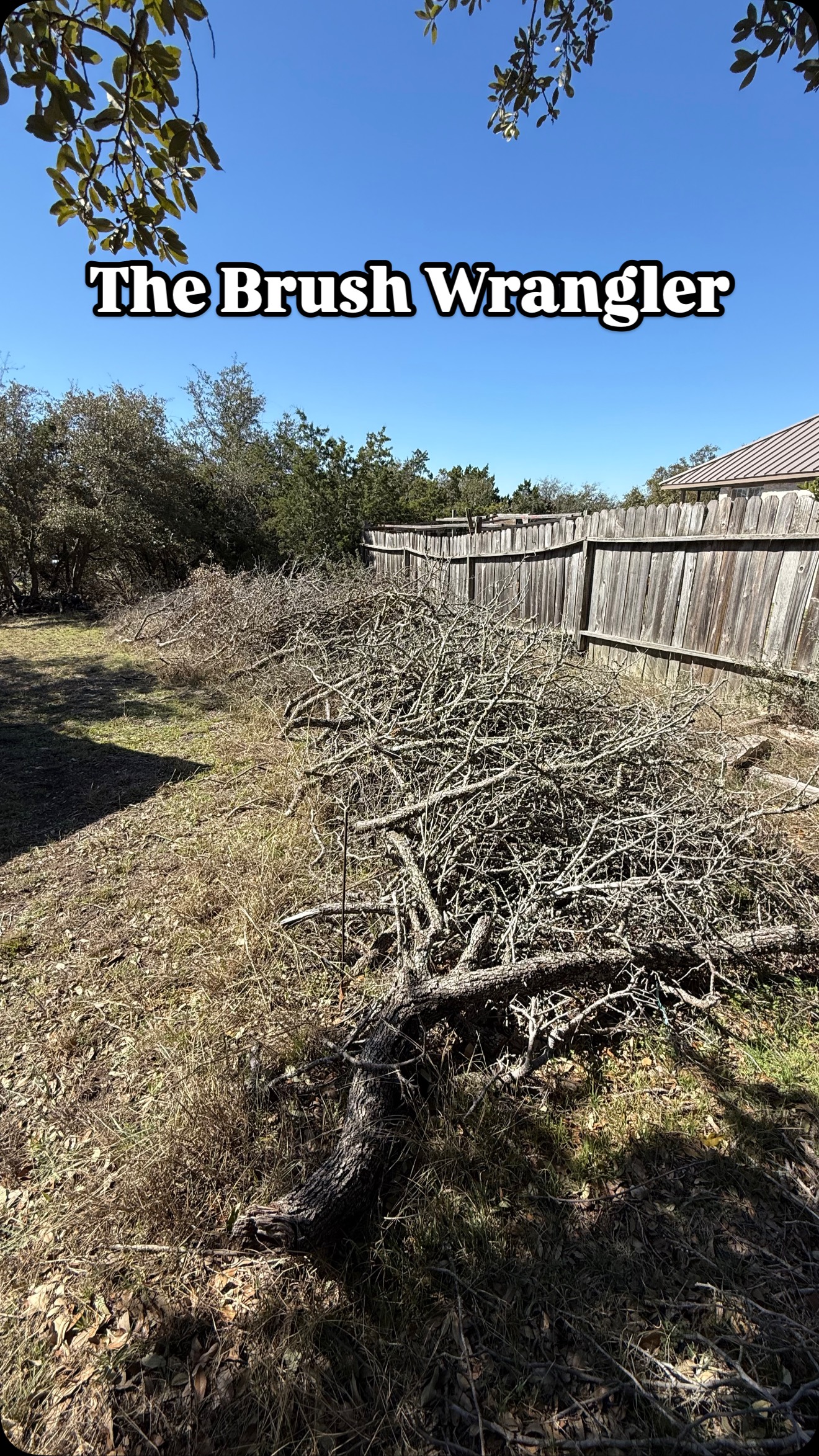 Wrangled and Hauled - Thought this brush pile was gonna take me two loads… but I wrangled and hauled it all in one! #OneLoadWonder #DashAwayHauling #WrangledAndHauled