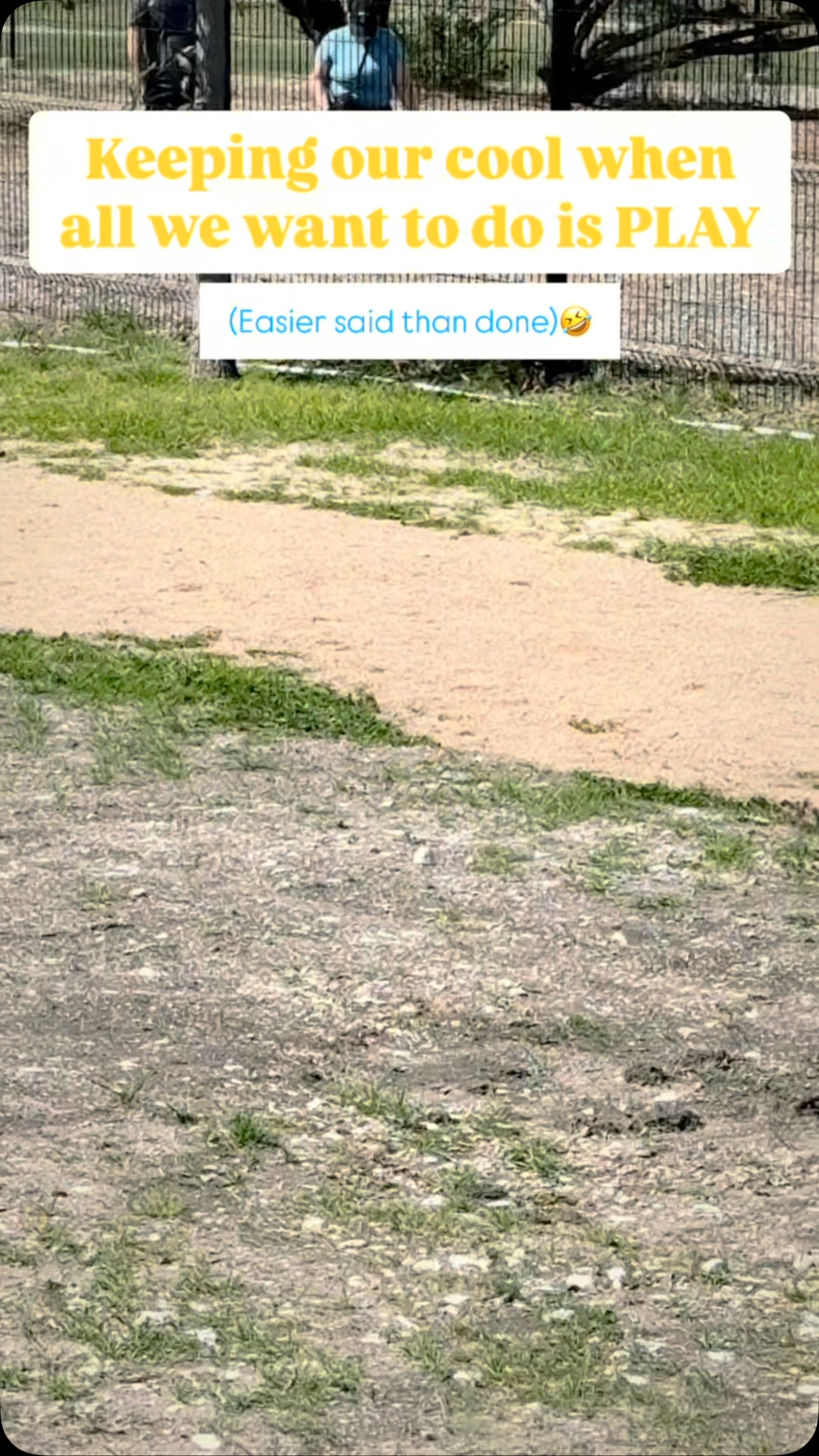 Can you relate? 🤣🐾
✅We've got you covered with:
• Board & Trains
• Puppy Training
• Advanced Obedience
• Behavior Modification
• Private Lessons
• Veteran / First-Responder Discounts