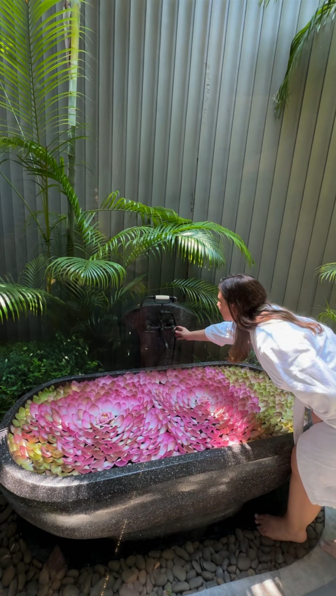 Things to add to your Siem Reap list ๐ฅฅ #siemreap #cambodiatourism #cambodiatravel #siemreapcambodia