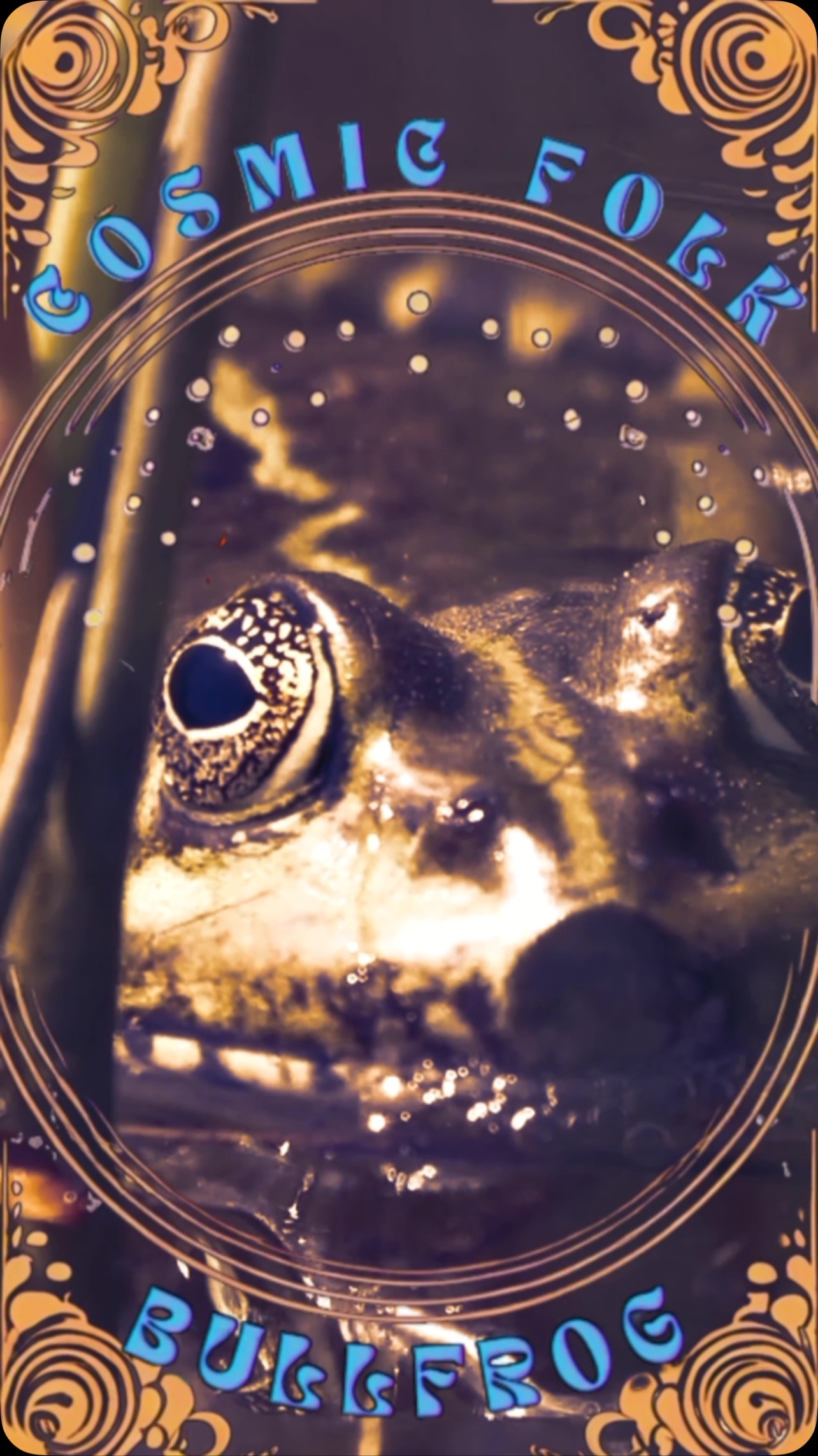 Comic Folk “Bullfrog” Lyric Video #cosmicfolk #lyricvideo #chillvibes #chill #music #cosmic #folk