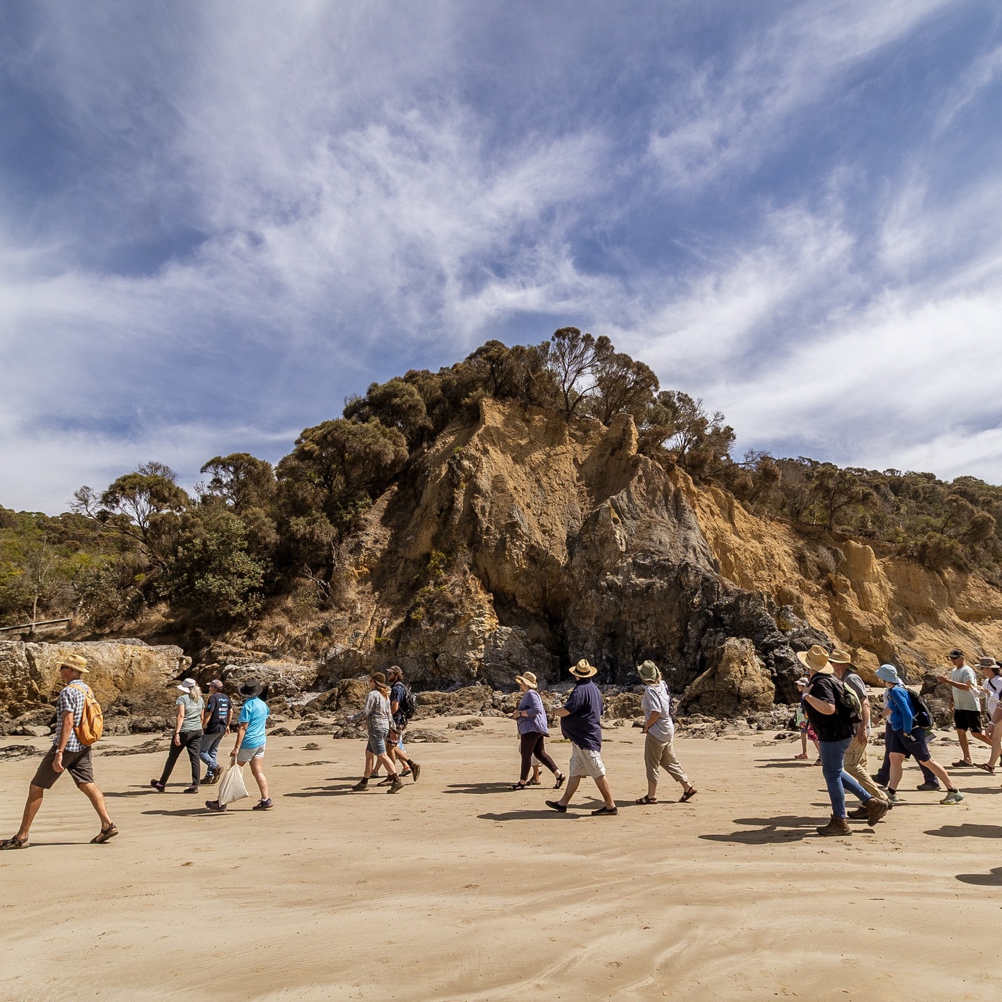 This walk 'rocked'! Walkerville Coastal Geology Walk 09.03.25.
What an incredible turn out we had to hear Palaeontologist Mike Cleeland speak in memory of Prom Coast Ecolink founder Gary Wallis.
Much of the events' success is due to Mike and we extend our deepest thanks to him for his time and expertise!
The walk was approximately 2km from the boat ramp in Walkerville North to Bird Rocks in Walkerville South and back again. It was a perfect day to be outside in South Gippsland.
We spent 3 hours exploring one of Victoria’s oldest rock formations and witnessing the remnants of our ancient natural environment.
We celebrated Gary Wallis, a founding member of Prom Coast Ecolink and a highly respected geologist, well known for his endless love for this region.
Gary, who sadly passed away last year, recognised the potential for a biolink from the Strzelecki Ranges to Cape Liptrap that would protect the southernmost population of lyrebirds here in Walkerville. His research and vision are pivotal in our work and he is dearly missed.
Guests who joined us received a copy of Gary’s fantastic booklet ‘Walkerville Coast Geology - A walk from Walkerville North to Bird Rocks'. DM to order a copy of your own!
Prom Coast Ecolink would like to extend a special thanks to members of Gary’s family who travelled to join us.
We work to achieve two things : to connect nature to nature through biolinks and wildlife corridors, and to connect people to nature through events. The work of connecting people to nature is a critical part of creating biolinks. Over 95% of land in our region is privately owned - it is the residents & farmers who will have the greatest impact on the future of our landscape.
Events such as these offer an opportunity to appreciate and connect with the beauty that this region holds. We would like to thank the South Gippsland Shire Council for their generous contribution to this project.
Thank you to @karli_michelle_commercial for these incredible photos!
#southgippsland #walkerville #capeliptrap #wilsonsprom #biolinks #wildlifecorridor #promcoast #promcoastecolink #magicbeach
