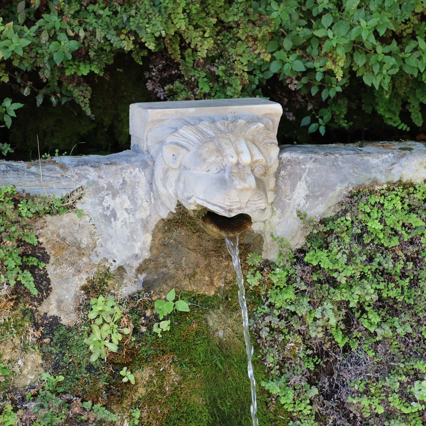 One of the old and famous lionfountains in Menites on the island of Andros
#greekholidays
#greekislands
#greekholiday
#mygreece
#greek
#greece
#cyclades
#cyclades_islands