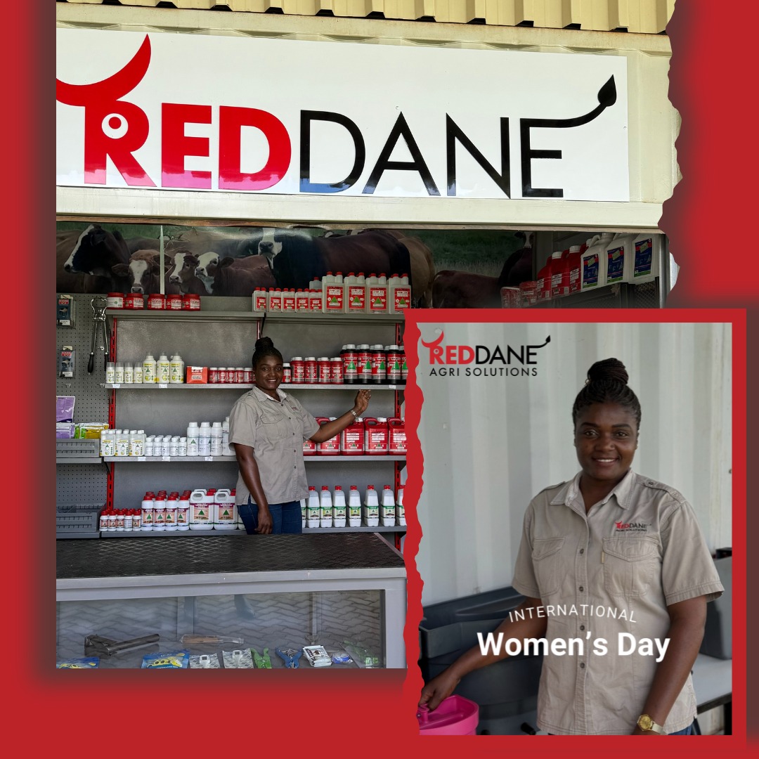 🌾✨We are Celebrating International Women’s Day
This International Women's Day, we spotlight Sabina - our friendly and creative mind behind the sales counter at our Agri Centre at ART Farm. As a Sales Representative her dedication lies in advising customers on livestock equipment or high-quality animal feed - helping farmers to drive innovation, development and sustainability in their agricultural businesses.
We thank Sabina for her big smile greeting our customers. Happy International Women’s Day.
#InternationalWomensDay #SustainableFuture #RedDaneAgriSolutions #RedDaneAgriCentre #WeAreLivestock