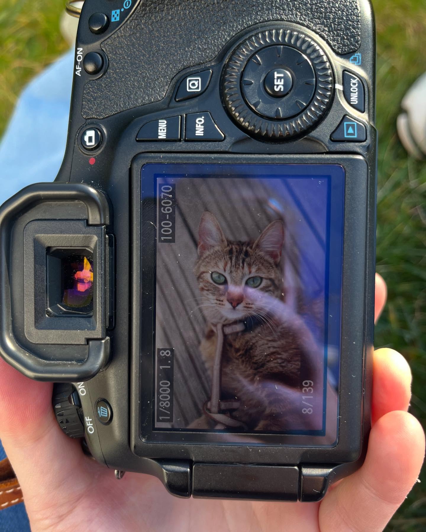 Cette semaine j’ai eu en garde deux magnifique petites minettes et j’ai eu l’occasion d’improviser un petit shooting, en voilà quelques photos 🐾
_______
Www.surixpets.com
#petsitter #shooting #garde #chat