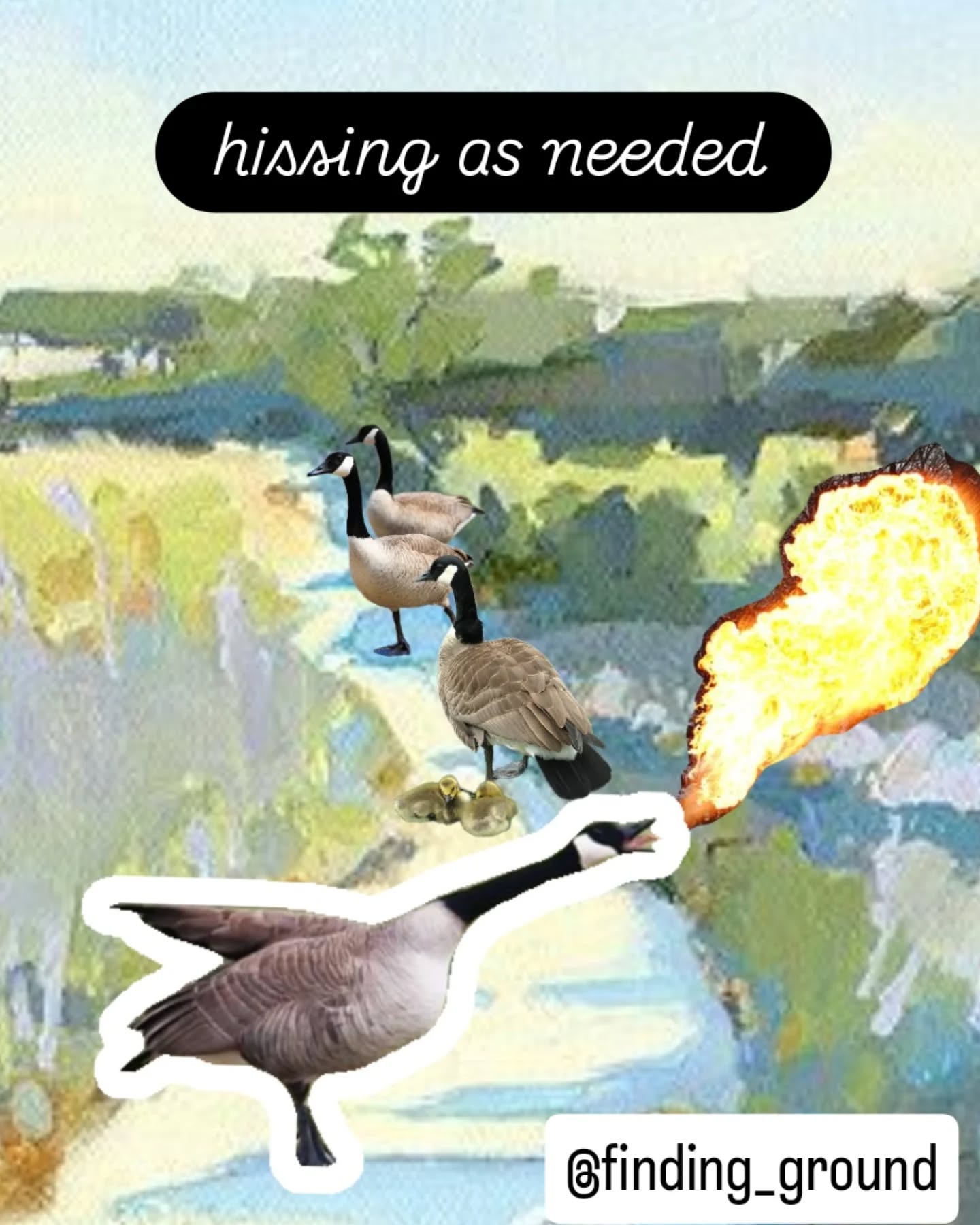 Today's affirmation collage 🪿 Learning from the animals on my walk home this morning.
#expressivetherapy #naturetherapy #angermanagement #nervoussystemregulation