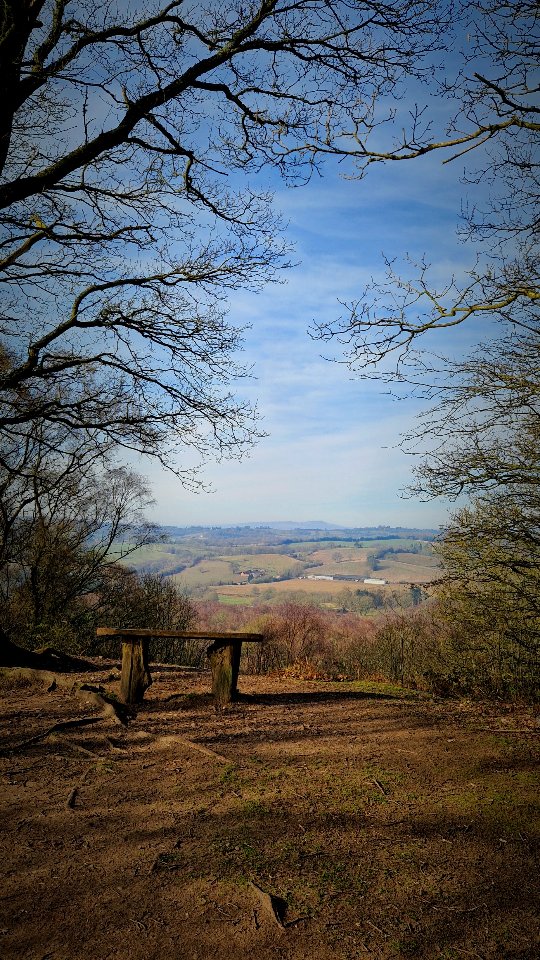 Springtime for us Brits is a hopeful and rejuvenating season. After many long months of darkness and grim, grey days, the arrival of expanding light fortifies our resolve. What feels like an endless winter finally gives way to signs of life—buds appearing on trees, bushes, and hedgerows, and green shoots carpeting woodland floors. These moments offer relief if we only slow down enough to notice them.
May you honour this season of gentle, steady growth by carving out time each week to sit in a garden or green space and observe the subtle signs of spring. Use this time to slow your breath and truly see, hear, and even touch the changing landscape. While spring weather in the UK can be unpredictable, nature persists, undeterred by fleeting setbacks—and so can we.
The lighter days of spring seem to lift the weight of winter's heaviness. There’s a collective sense of shedding and renewal, as though we are tentatively harnessing the vibrant yang energy of lengthening daylight. The embers of Imbolc stoke a small, warm fire, guiding us through this wonderful transition into spring.
With this shift, our bodies naturally crave movement as renewed energy flows in. Meals become lighter, shedding the richness of winter hibernation. It's the perfect time to reimagine routines—whether that means embarking on a new adventure, adopting a healthier lifestyle, or kickstarting an exercise regime.
Spring teaches us a timeless lesson: slow and steady wins the race. Always.
Even if it feels daunting, with small steps, we can get there together and achieve what once felt impossible. Reach out to me today to see how we can get you there.
#HealthyEating
#NourishYourBody
#EatTheRainbow
#FoodAsMedicine
#MindfulEating
#WellnessJourney
#HealthyHabits
#LiveWell
#HolisticHealth
#FuelYourBody
#EatSeasonal
#SeasonalEating
#FarmToTable
#LocalAndFresh
#NatureNourished