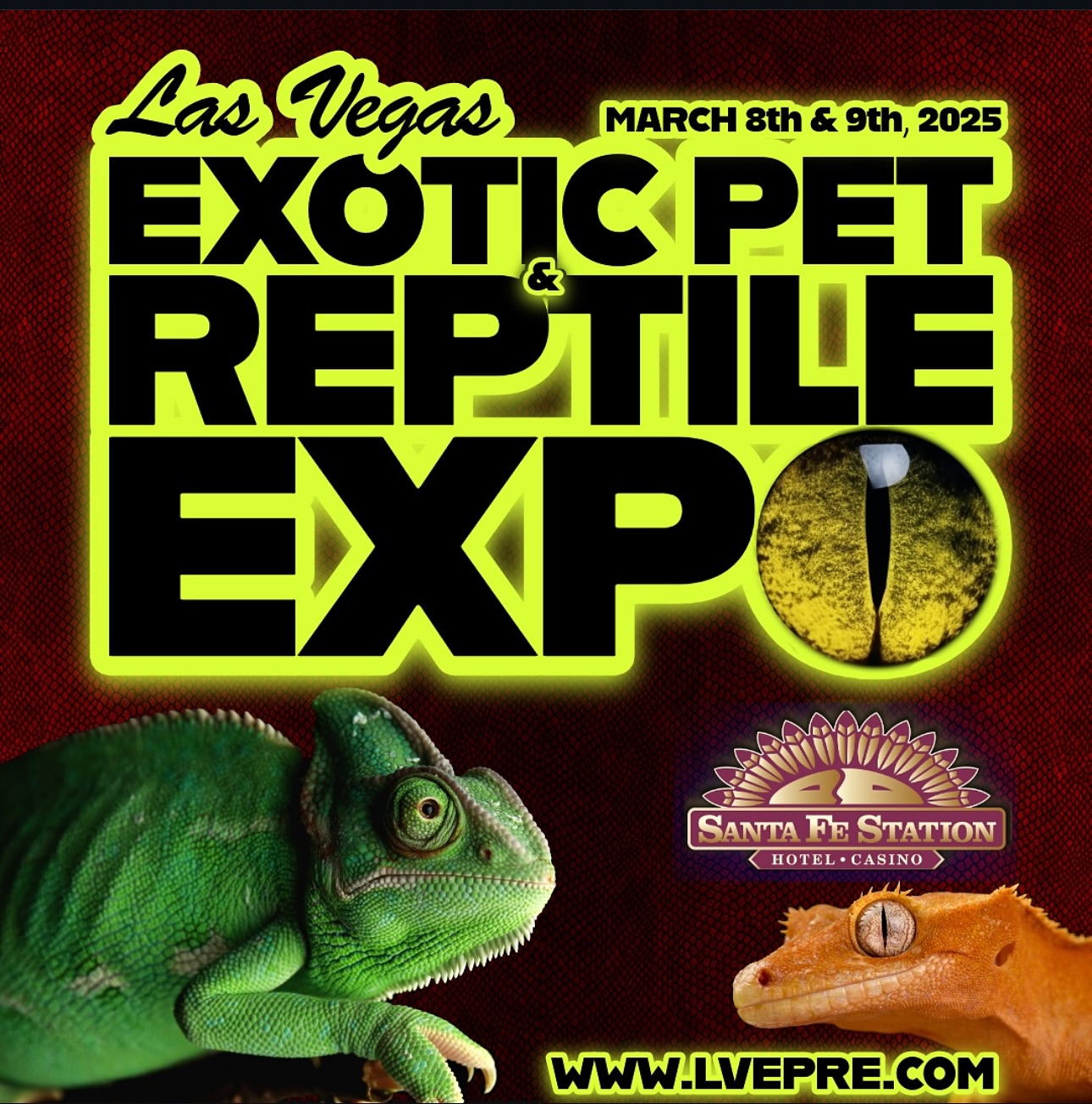 Come and check out #lasvegasexoticpetandreptileexpo and say hi to #marvelmorphs. We got #NewCaledonia geckos and more.
Check out our new reptile supply, terrariums set up with our terrarium tiles and fixtures for modular terrarium setups. The next best thing in the reptile community!
Hope to see you here at the #santafestationhotelandcasino