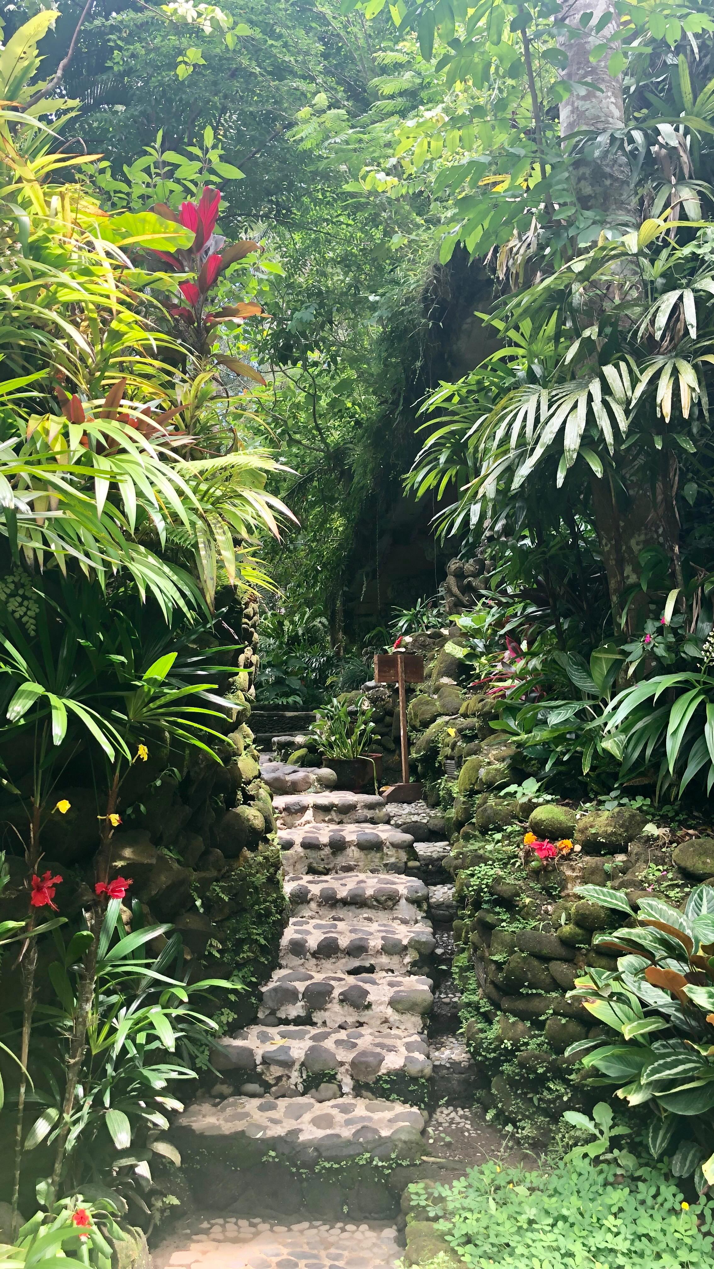 Come join me in Bali on my
Bliss Getaway
8 NIGHTS 9 DAYS
3 NIGHTS KERAMAS
3 NIGHTS UBUD
2 NIGHTS SEMINYAK
2nd June-10th
Our first stop is KERAMAS for three nights our resort is located along side a spring fed river
🌸 Learn the art of making Caning Sari, Balinese traditional daily offerings.
🌸 Enjoy daily yoga & meditation in our yoga Shala
🌸 Immerse yourself in a Spiritual water blessing ceremony in our 9th century temple where you will cleanse your body, mind, & spirit, & remove any negative influences.
🌸Attend an Agni Hotra -fire renewal ceremony with 4 Mangkus this powerful ceremony will allow you to release past issues & set new intentions for the future.
🌸Enjoy a fun & informative wellness session where you will learn how to make face masks & body scrubs using products grown in our onsite farm, Plus the Balinese tonic Jamu taken to improve health & heal many ailments.
🌸 Next its UBUD for three nights -Our accommodation is in the heart of Ubud,
🌸 Be mesmerised in a Sound healing session @ Pyramids of Chai
🌸 Learn Balinese traditional recipes in a lunch time cooking class.
🌸 Visit the cheeky Monkey forest.
🌸 Enjoy a including a traditional Legong dance at Ubud Palace.
🌸Have lunch in a restaurant overlooking the iconic lush Balinese rice terraces.
🌸Swoosh over the rice terraces on a Bali swing or pose for photos in a birds nest
🌸Shop down the infamous Tegalalang road & Ubud art market.
🌸Plus you will have plenty of time to explore Ubud , or relax around the pool.
🌸 Now we head to the vibrant beachside region of SEMINYAK for two nights
🌸 Enjoy a cocktail at iconic roof top bar watching the sunset, included
🌸 Sit on a beach bean bag with your feet in the sand enjoying a Bintang at sunset, included
🌸 Enjoy an english high tea in a traditional Joglo, included
-plus so much more
www.baligoddessgetaways.com
#bali #baliretreats #womensretreats #womenwhotravel #womenover50 #baliwomensretreats #wellnessretreatinbali #womensonlyretreats