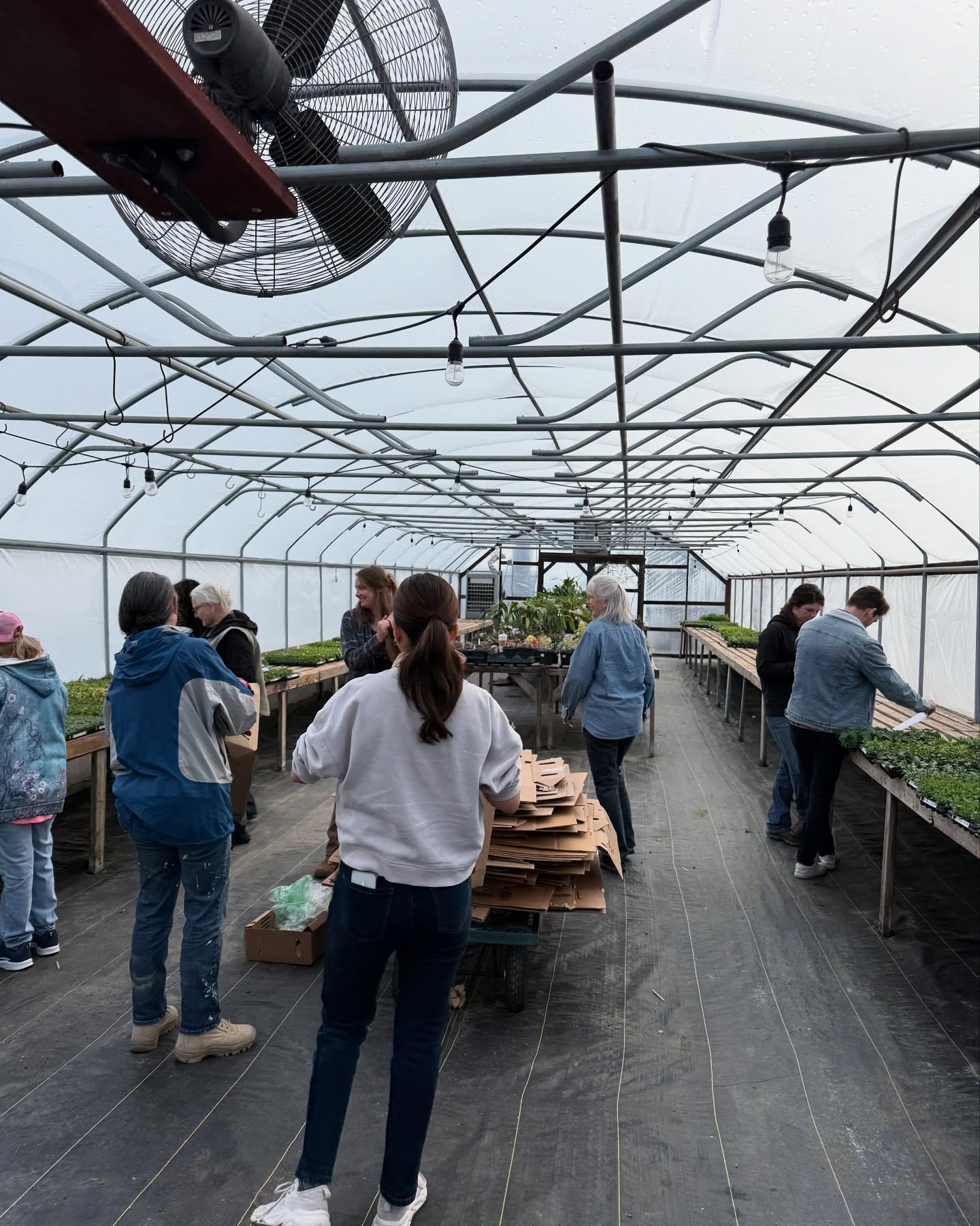 Our team has been working hard planting away!
We all came together and organized one of our bigger deliveries.
We have been having loads of plant fun, preparing for our opening April 1st!