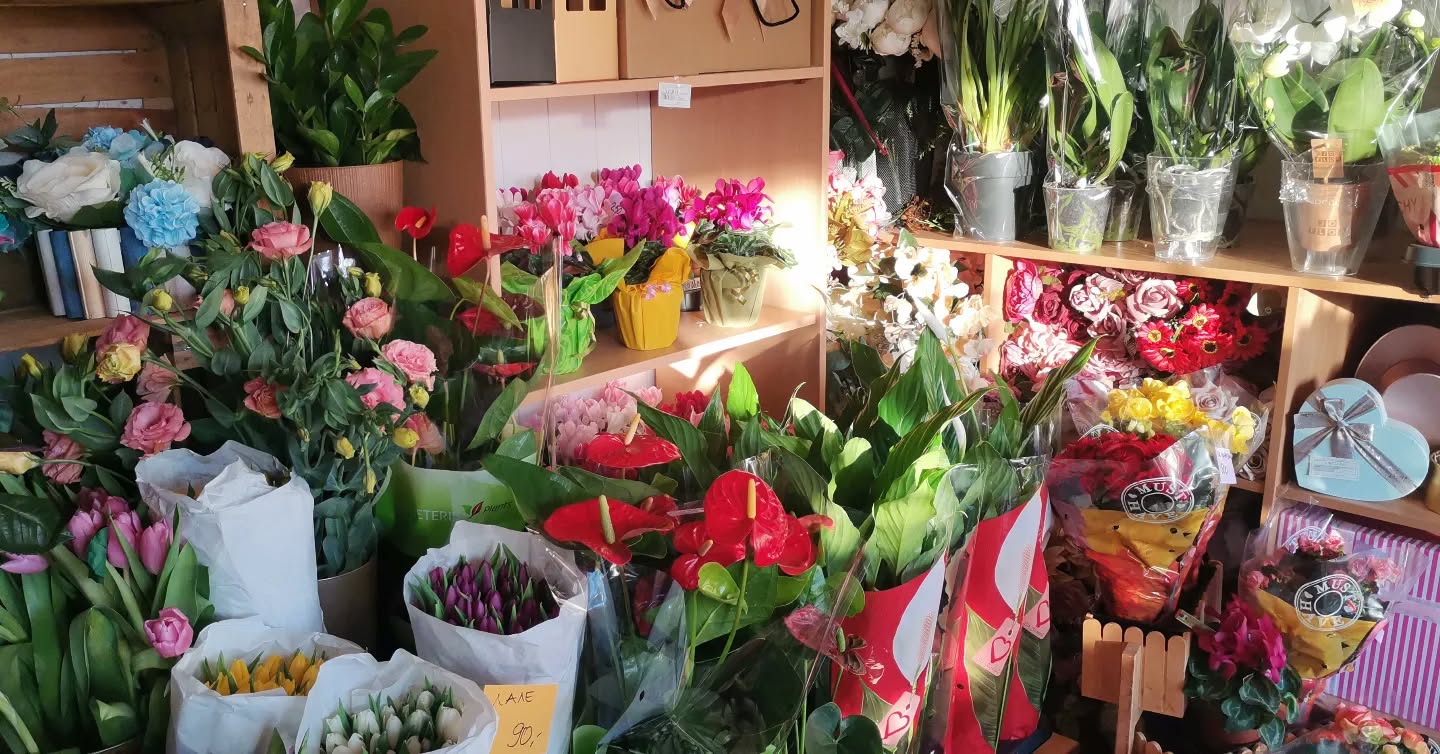 Среќен 8-ми март од
Цвеќарница Лејди Охрид
Булевар Туристичка 28