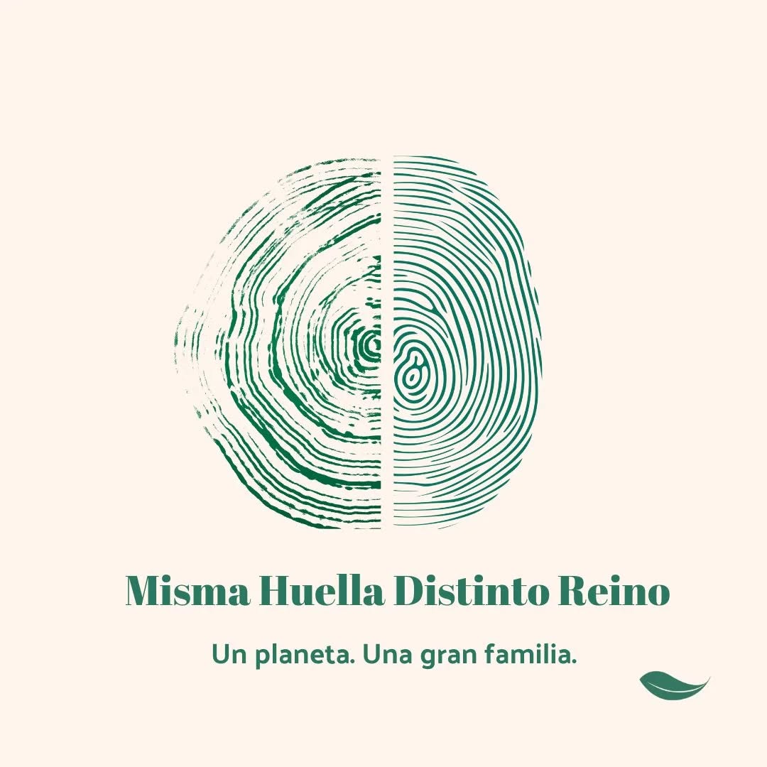 Sólo aquel que se atreva a mirar
será capaz de ver.
🌱🌳💚
#creadorasdebosques
#mujeresconectadas
#conectadasalatierra
#huella