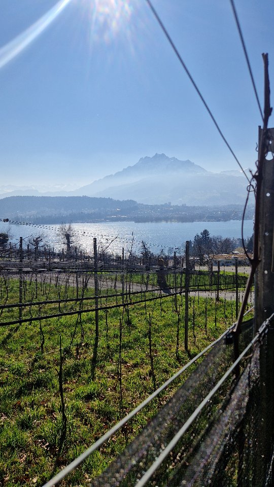 Bist du auch alles am ausmisten?🤔
.
.
.
Wir nutzen das herrliche Wetter um den Mist unserer Kühe rauszubringen. Eine natürliche Düngung für unsere Weideflächen. 🐮🍃
.
.
#seeburghof #landleben #landwirtschaft #hofleben #natur #bio #myfarmmoments #bauernhof #farmlife #humor