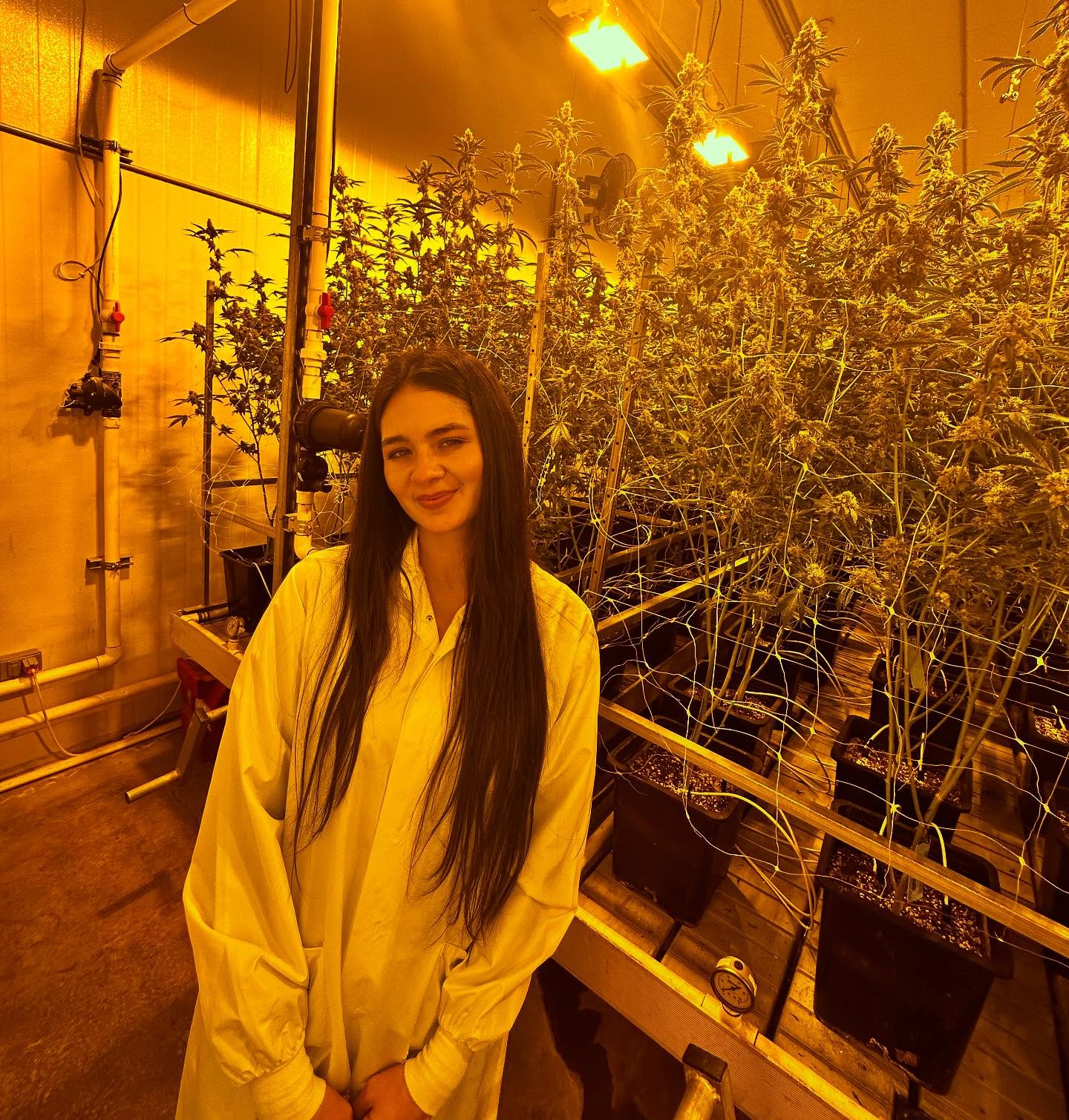 Being a woman in cannabis has been far from easy, but it does make every single win that much sweeter. To all the real women in this industry with beautiful brains and so much love for the plant and people, I HONOR YOU! It takes a lot to be here and I pray that one day we’re more appreciated for all our ideas and aspirations in this industry. Never stop making your voice heard. Never let a man quiet you down. Speak loudly and never stop. I love you all. May we all succeed and help each other through 🌱✨💚 #womanincannabis #healing #cannabis #cannagirls #plantmedicine #hirewomen #internationalwomensday