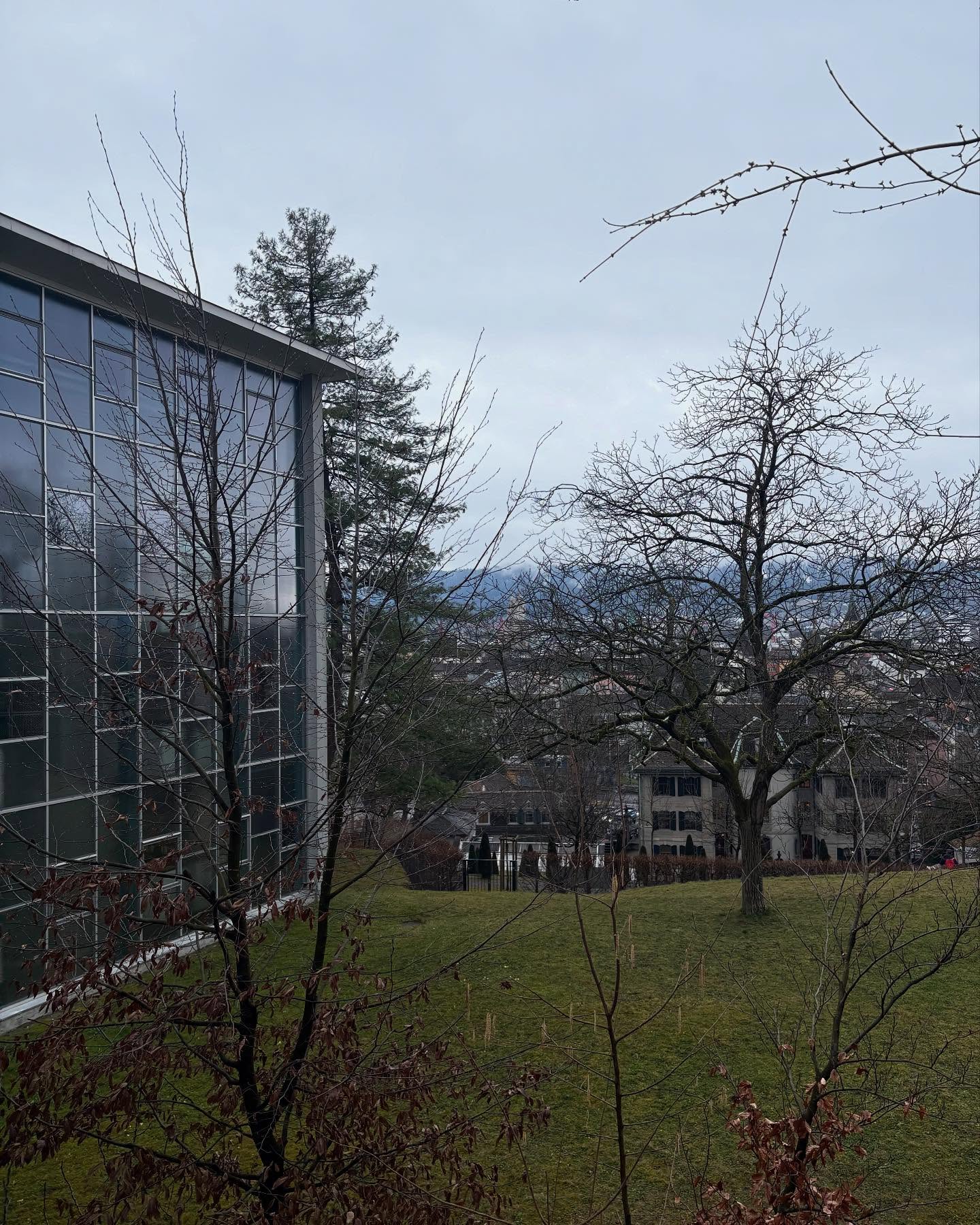 Wirkungsort im Frühlingssemester: Universität Zürich, Deutsches Seminar. Mit Blick auf den Uetliberg. 🙂 @uzh_ds @uzh.ch #dialekte #dialektologie #plurizentrizität #germanistik #linguistik #alemannisch #bairisch #samnaun #schweizerstandarddeutsch #helvetismus #variationslinguistik #variationslinguistinsusanne