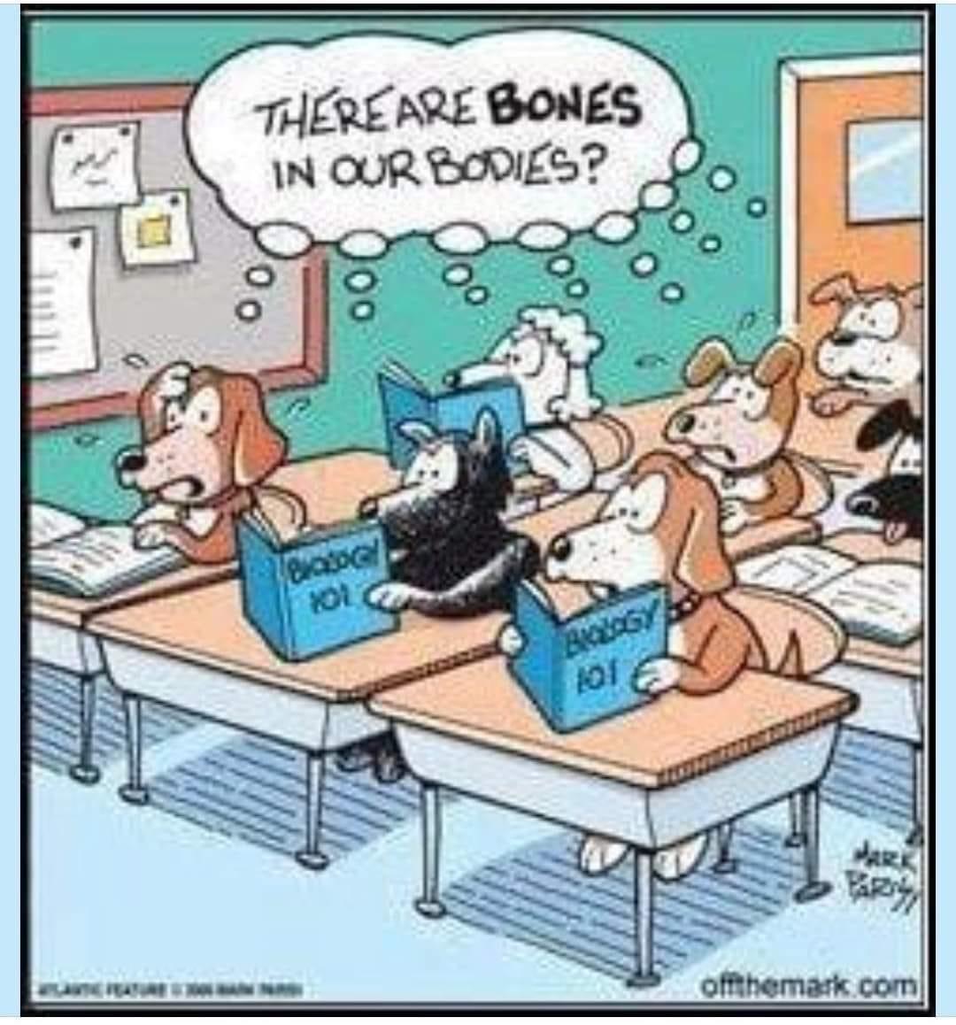 Happy Spring Break! If you find yourself with some free time this week, why not get a massage? - https://mailchi.mp/99b371b42f32/happy-spring-break