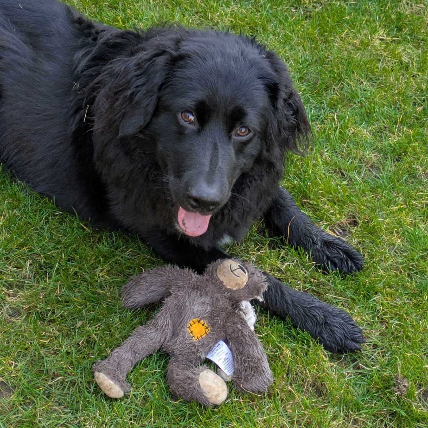 A full weekend with Uncle Bertie!
While mummy was away during the day, Uncle Bertie was on duty.