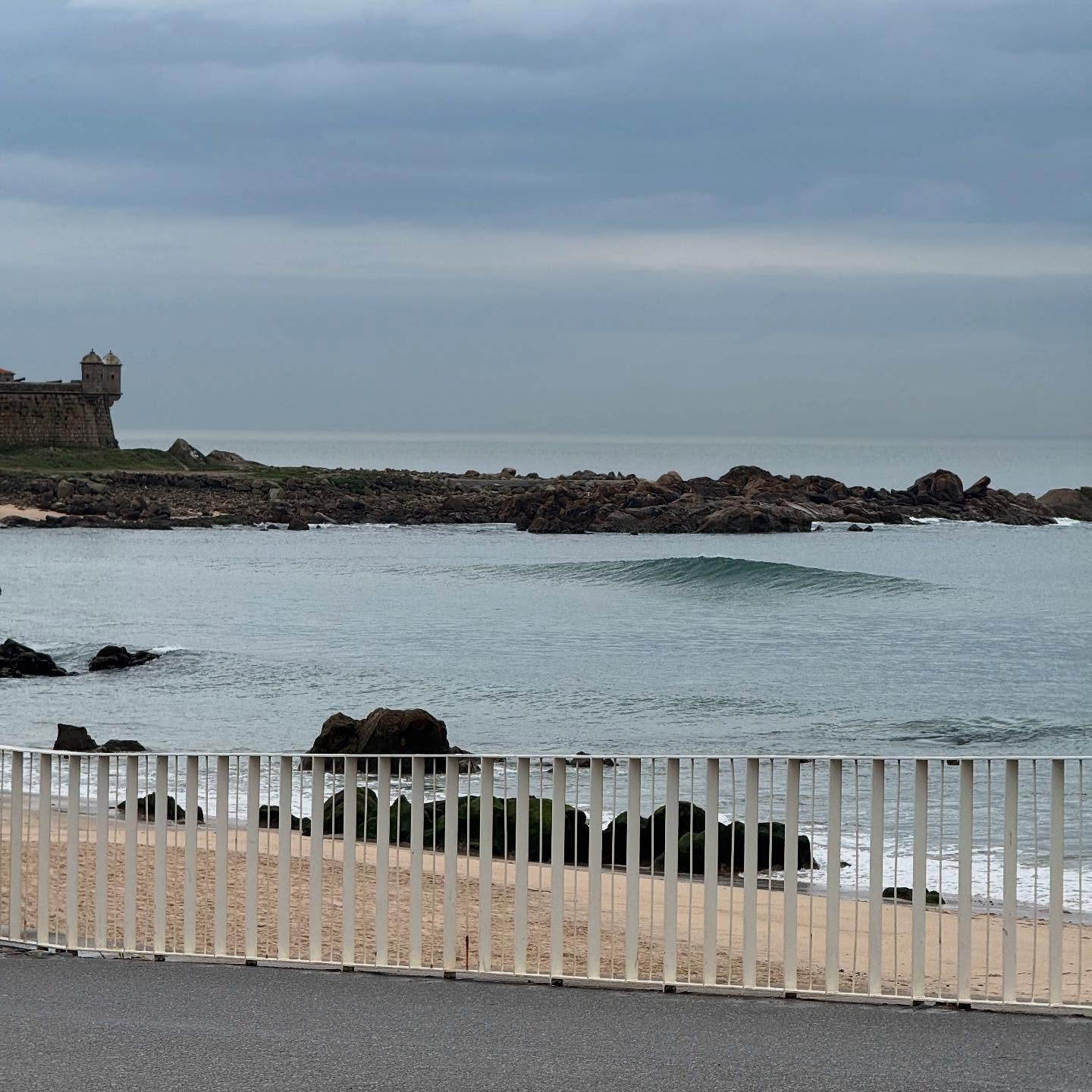 Neverland. How often do you get the home break to yourself? With wave pool conditions? On this particular Wednesday the waist-high sets were rolling in with a cadence that seemed almost scripted, and unfolding both left and right with an equally agreeable rhythm. There may have been more size at peaks both north and south of Castelo, but it’s truly rare for our local sandbar to mimic a point break - long, uniformly spaced lines like sheets from a Xerox. Pure delight after the frenetic sand shifter that this winter has been. And ideal big board conditions. Lost in transcendental trim on the Campbell Bros 10’3 B3 @campbellbros and the 11’4 Glider from Panther @panthersurfboards. When surfing waves like these, in conditions like these, you become no-one in particular.
#surporto #surfportugal #surfeurope #surfclub #surfboardclub #surfingwithfriends #campbellbrothers #bonzer #bonzer3 #panthersurfboards #glidersurfboards #bigboards #surfboard #surfboardfins #101fins #bamboofins #trueames #surffins #greenoughfins #finjak #finjaktoolfree #finjakeu #finjakuk