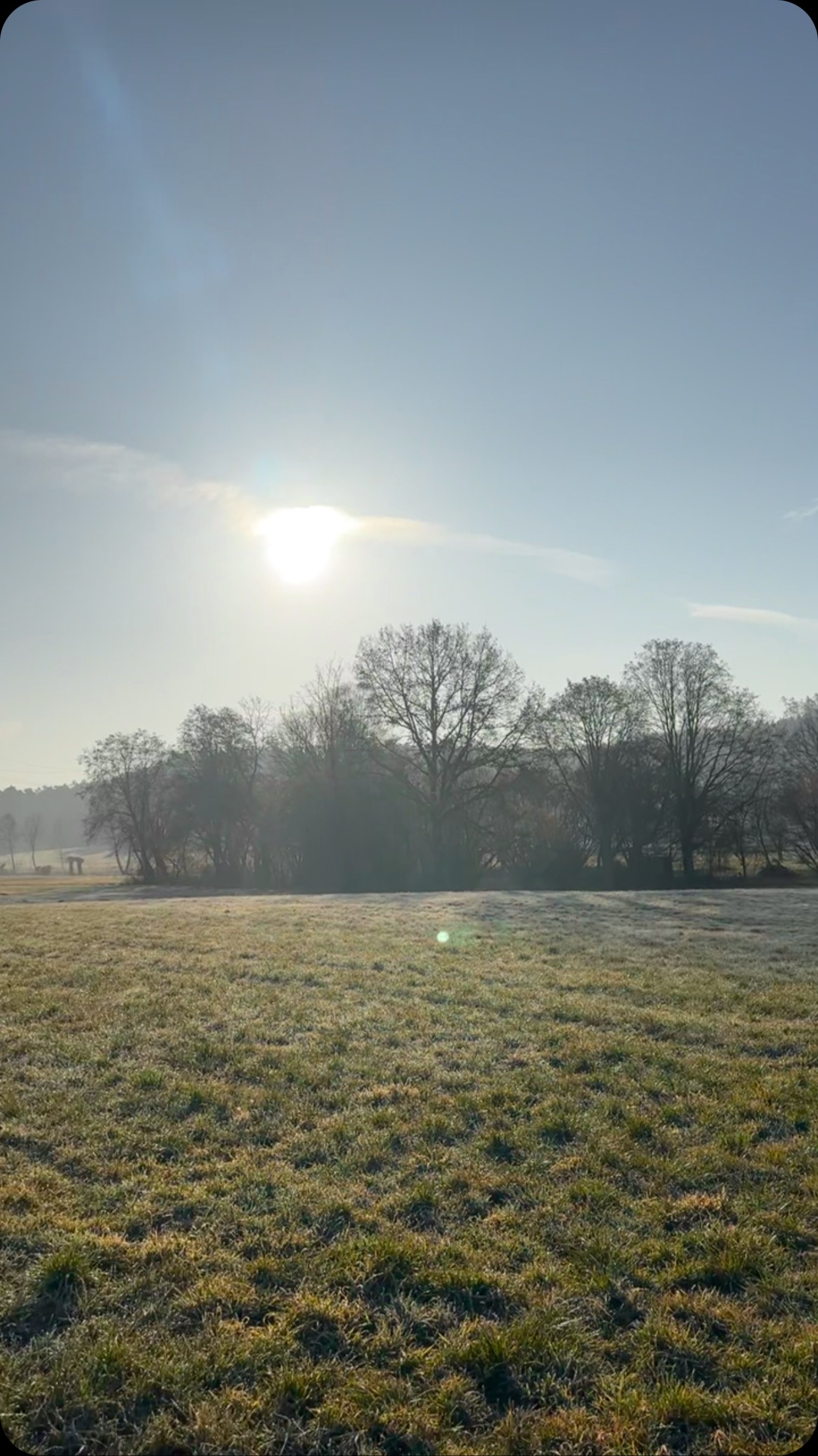 En-R-Gee -> hilft mir beim Morning Run… Ich fühl mich großartig! Wenn Ihr mehr darüber wissen wollt… -> www.purple-Flow.com
