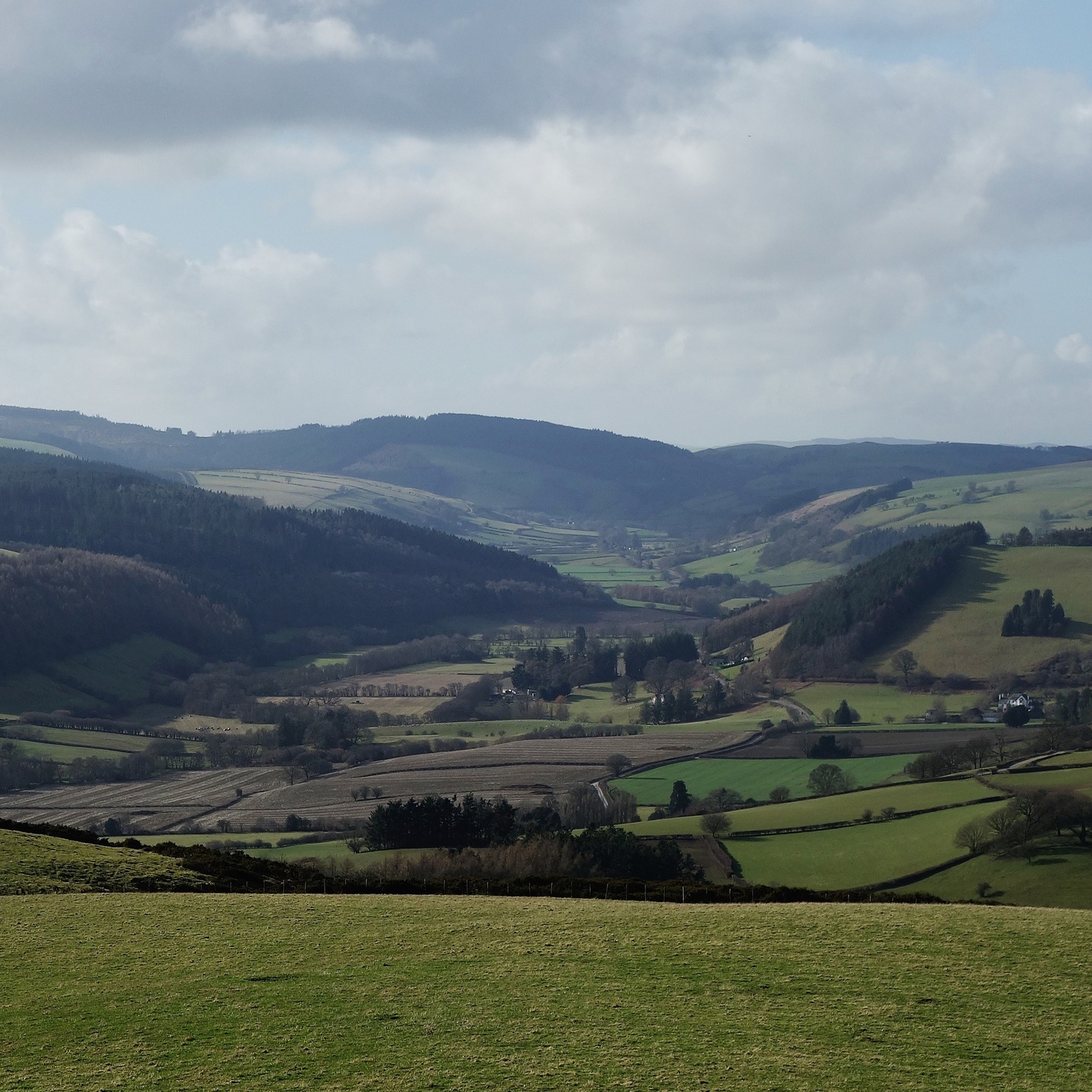 On Hawthorn Hill in mid-Wales, I descended into the valley you see with my dear, late twin brother in 2013 from the very middle of the valley into the forest/wood on the left. We could see Hawthorn Hill from the right side of the valley in the distance as we descended. We walked the river Lugg from the source to the Wye - 70 miles. I returned to see it from this angle and I was not disappointed with the borderland vision before me. I am north-west of Presteigne and adjacent to the Radnor Forest. The river Lugg the Wye's main tributary flows below. There's a new video on my wyeexplorer youtube channel if interested. Returning somewhere is a tonic for me. It's one of the arteries of life I tap into. Peace all day. #valleyview #midwales #midwalesadventures #walescollective #outdoortones #rivervalley #valleywalk #hillwalking #welshhills #greatday #awesomeview #naturehike #radnorforest #riversoflife