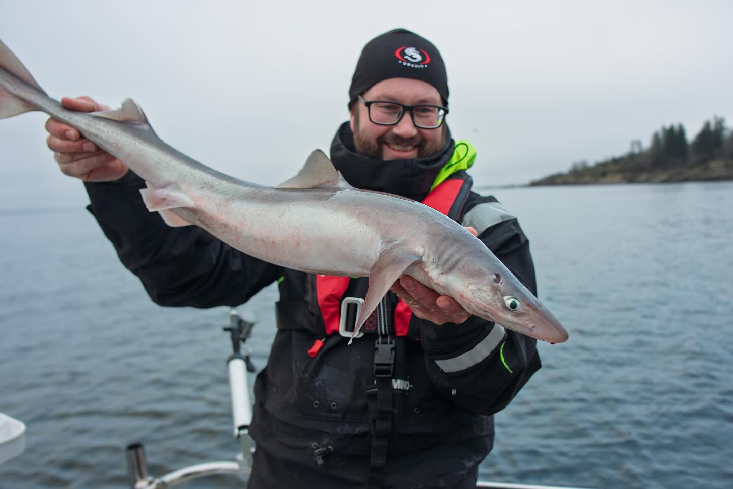 Another spiny dogfish. We have gotten to know them quite well this winter, sharks are fascinating creatures but now we’re looking forward to some offshore fishing for other species soon! 😀🎣
.
.
.
#spinydogfish #pigghå #oslofjorden #havfiskern2025 #havfiske #saltwaterfishing #saltlife #seafishing