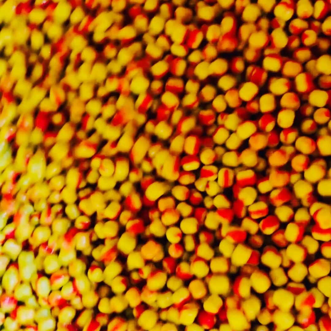 Wafters in a spin #carpballs #wafters #carpfishing #coarsefishing