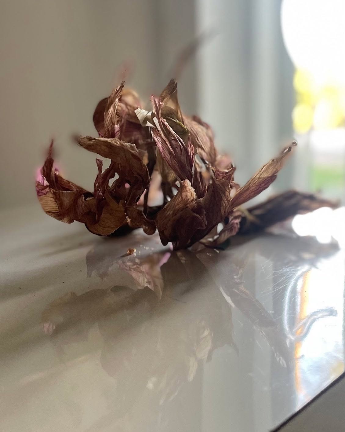 #studiolightandspace #afternoonlight #ncartist #artscatawba