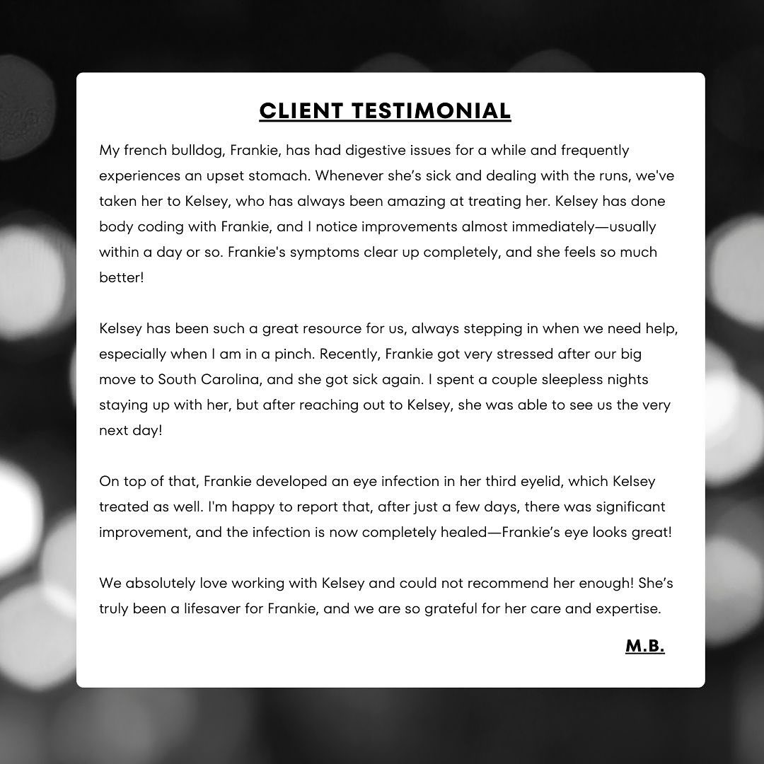Frankie’s Healing Journey
Frankie, a sweet French bulldog, has struggled with digestive issues for a while, often dealing with an upset stomach. Whenever she’s not feeling well, we’ve been able to pinpoint the root cause through Body Code sessions, correct imbalances, and get her feeling better quickly.
After a recent move to South Carolina, Frankie became very stressed and sick again. Her mom reached out, and we worked together to restore balance, bringing her relief in just a day. Then, an eye infection in her third eyelid appeared. Through testing, we identified sand fleas as the underlying trigger. By addressing the imbalances in her eye and body, as well as releasing trapped emotions, the infection cleared up within days.
Frankie is now happy and healthy again, and her mom has peace of mind knowing she has a trusted resource when she needs help.
If your pet is struggling with digestive issues, stress, infections, or other imbalances, let’s work together to get to the root cause. Reach out to learn more. #BodyCodeForPets #HolisticHealing #PetWellness #FrenchieLove #EnergyHealing
#DiscoverHealing #BodyCode #EmotionCode