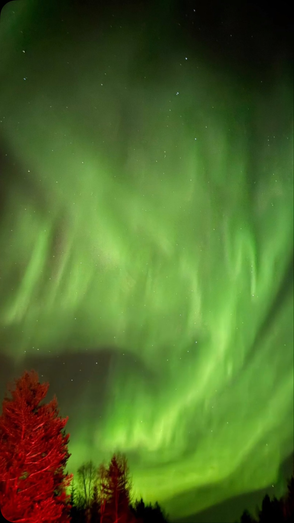 Beautiful lights in beautiful life ❤️