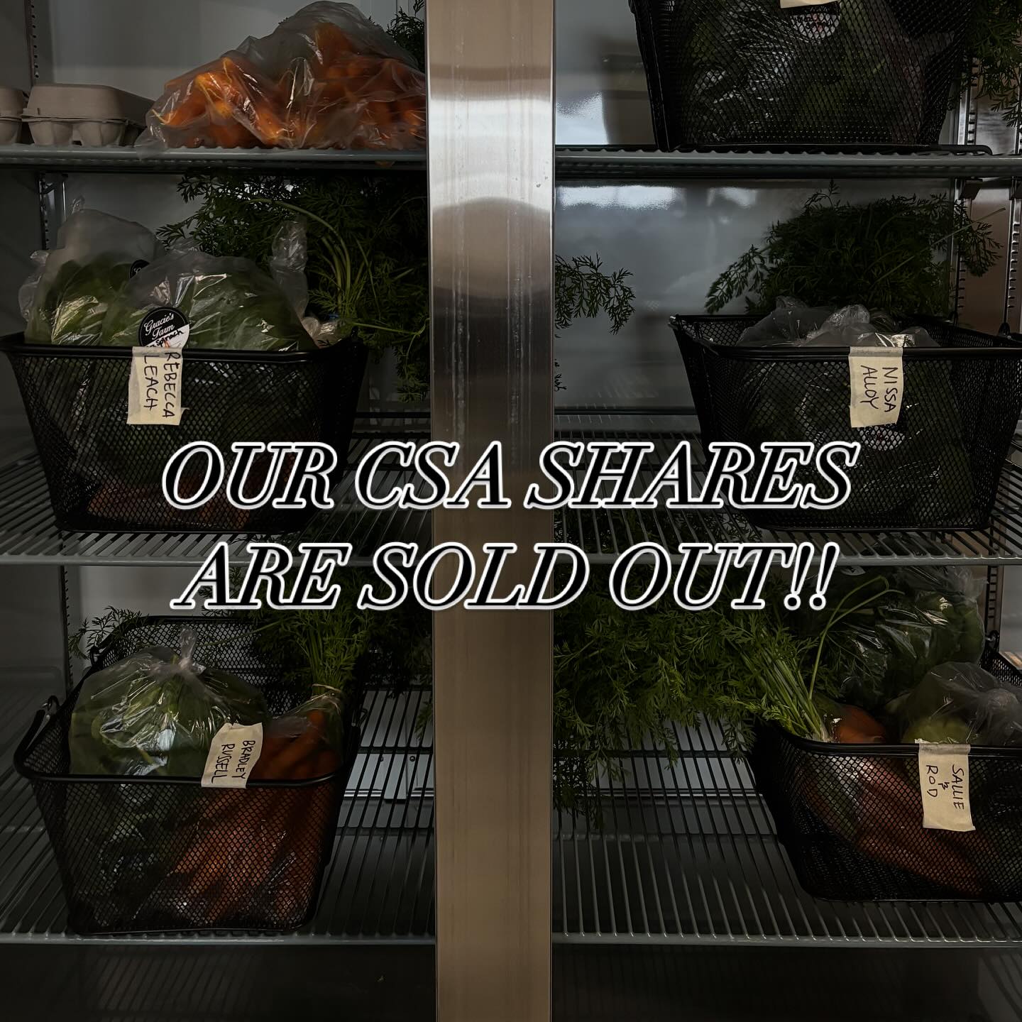 We are very grateful to our community for purchasing all of our CSA shares this season. Your support means everything to us and keeps our farm thriving.
Next season we hope to expand our program to include more shares for you all, thank you again for the love and support💚💚💚
#fortheloveofsoil #farmhers #eatlocal #knowyourfarmer