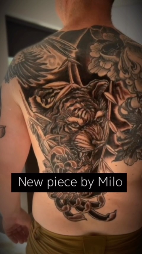 Milo added this Tiger and Lotus on to Iggy’s back piece. Work in progress so keep an eye out for the completed piece.
DM to book your next tattoo.
#mrluckystattoo #capetowntattoo #capetowntattooartist #capetowntattoostudio #capetowntourism #tattoossofinstagram #inkstagram #tattooideas #tattoolove