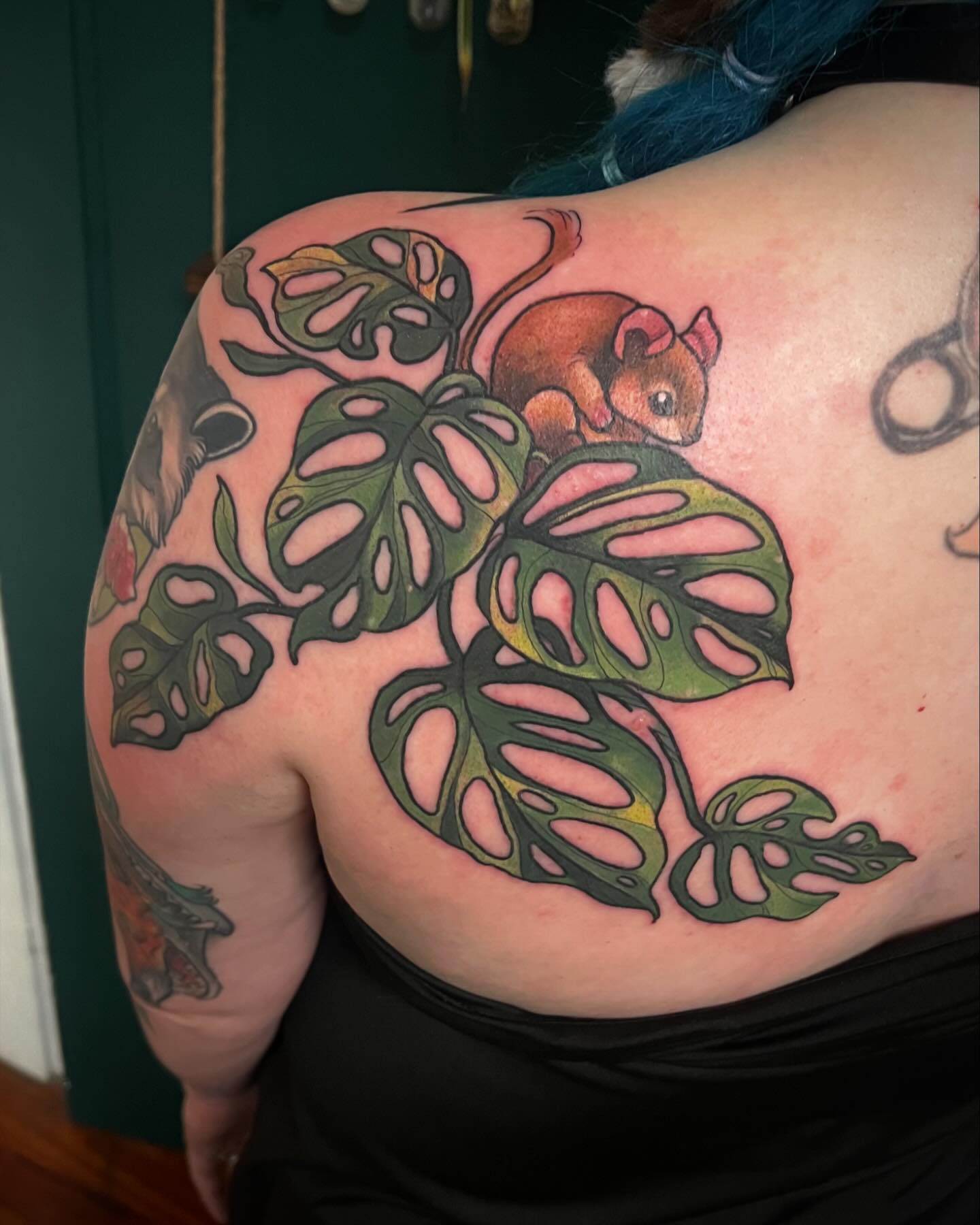 Quite a bit of glare on these monsteras but that’s okay! 🐭
#monstera#monsteratattoo#naturetattoo #tattoo #girlswhotattoo #kentuckytattooers #neotradtionaltattoo #illustrativetattoo #eternalinks#procreate#bishoprotary#paducahcreativecity#neotrad#neotradtattoop
