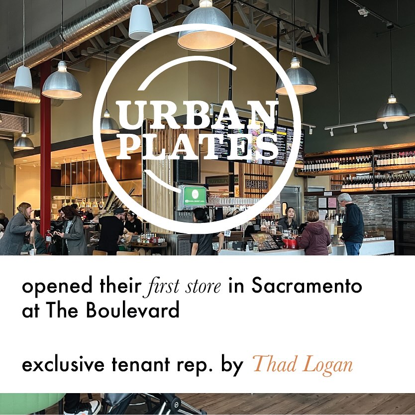 Our March Scoop SPRUNG into action with a load of new deals, grand openings, and tenant work! Swipe through to check out the highlights 🌼🗞️
🔗 click link in bio for further details and brochures