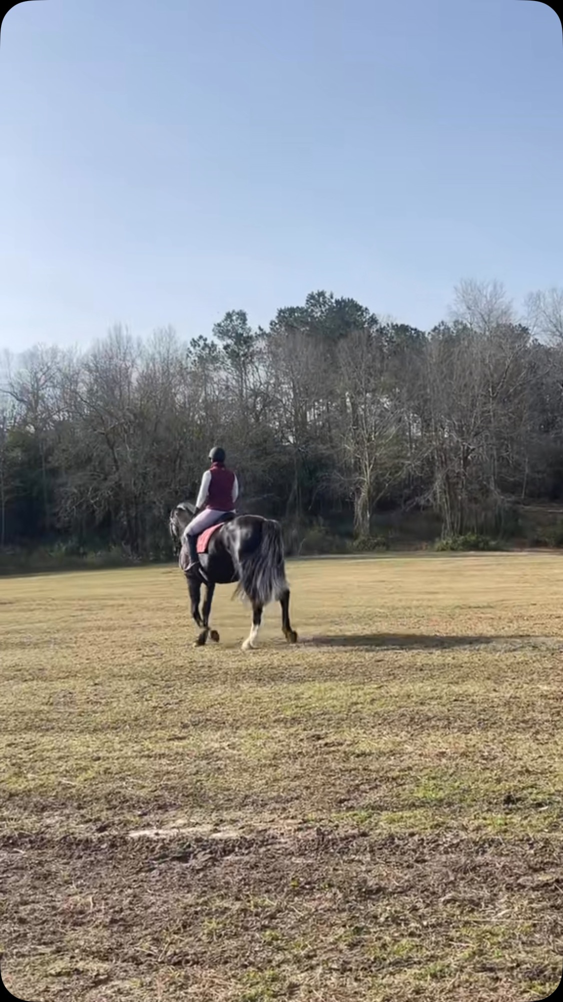 Luna’s been telling and showing me more and more that she is ready and wants to do things. She is a fierce mare who thinks very highly of herself (as she should). And sometimes it takes a shift in perspective to be on the same page as her.
Something that I really like to do that helps with that change in perspective is watch videos of us under saddle as if I’m watching a video of an unfamiliar horse and rider. It helps me be more objective and see what others may see, instead of what I see in picking apart and focusing on the little imperfections. Too often we are our own worst critics and need to take a step back to truly appreciate our excellence ❤️