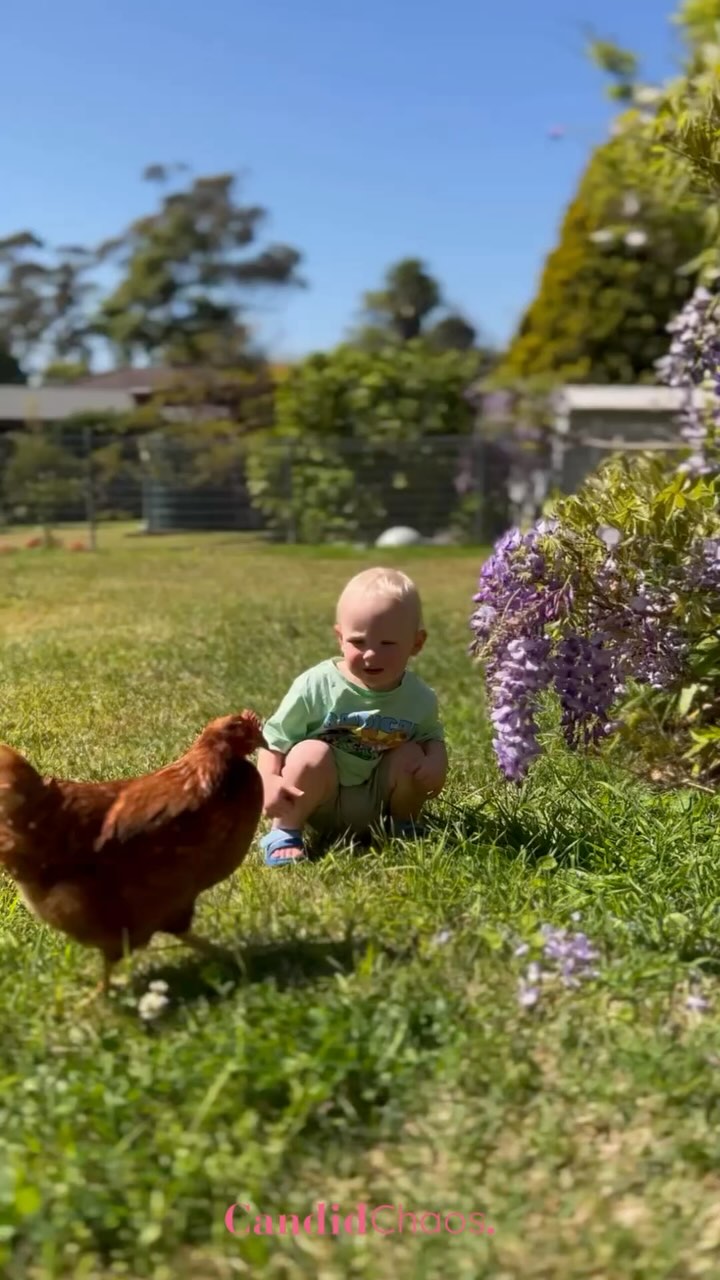 Joy isn’t in the big, flashy moments… it’s in the everyday. In bedtime stories, backyard adventures, and laughter-filled car rides. ✨ We’ve learned to embrace the simple joys, and it’s made all the difference.
I share more about this in my latest blog, Family First: Embracing Joy Over Material Possessions. Have you found happiness in the little things? Let me know in the comments! 💛
#CandidChaos #SlowLiving #IntentionalParenting #FamilyOverEverything #MindfulMotherhood #SimpleJoys #PresentOverPerfect