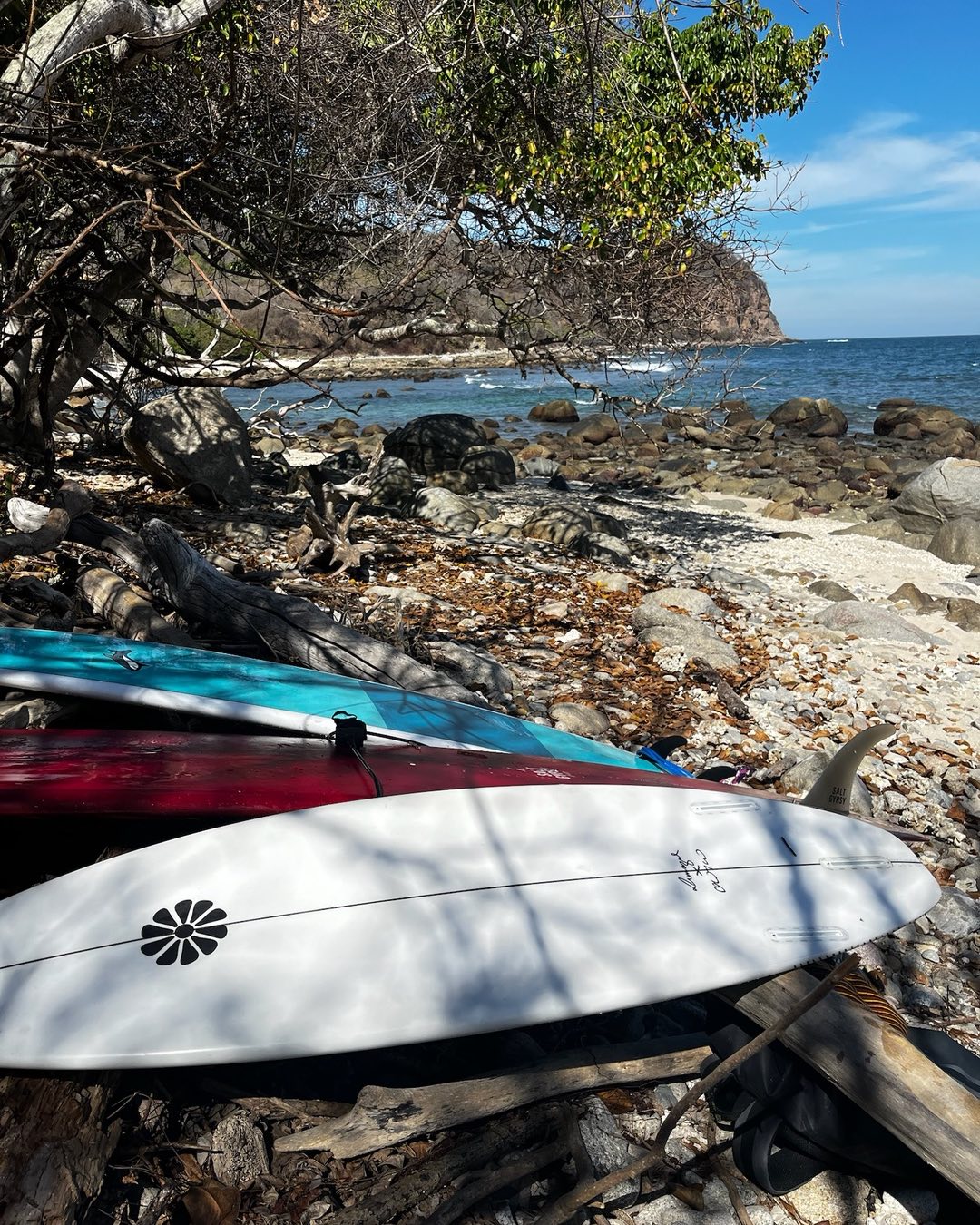 Boards & sun☀️🌊
•
•
•
•
•
#surflessons #gosurf #waves
#sea #views #surf #surfing #fun #surftrip #puertovallartasurf #mainlandmexico