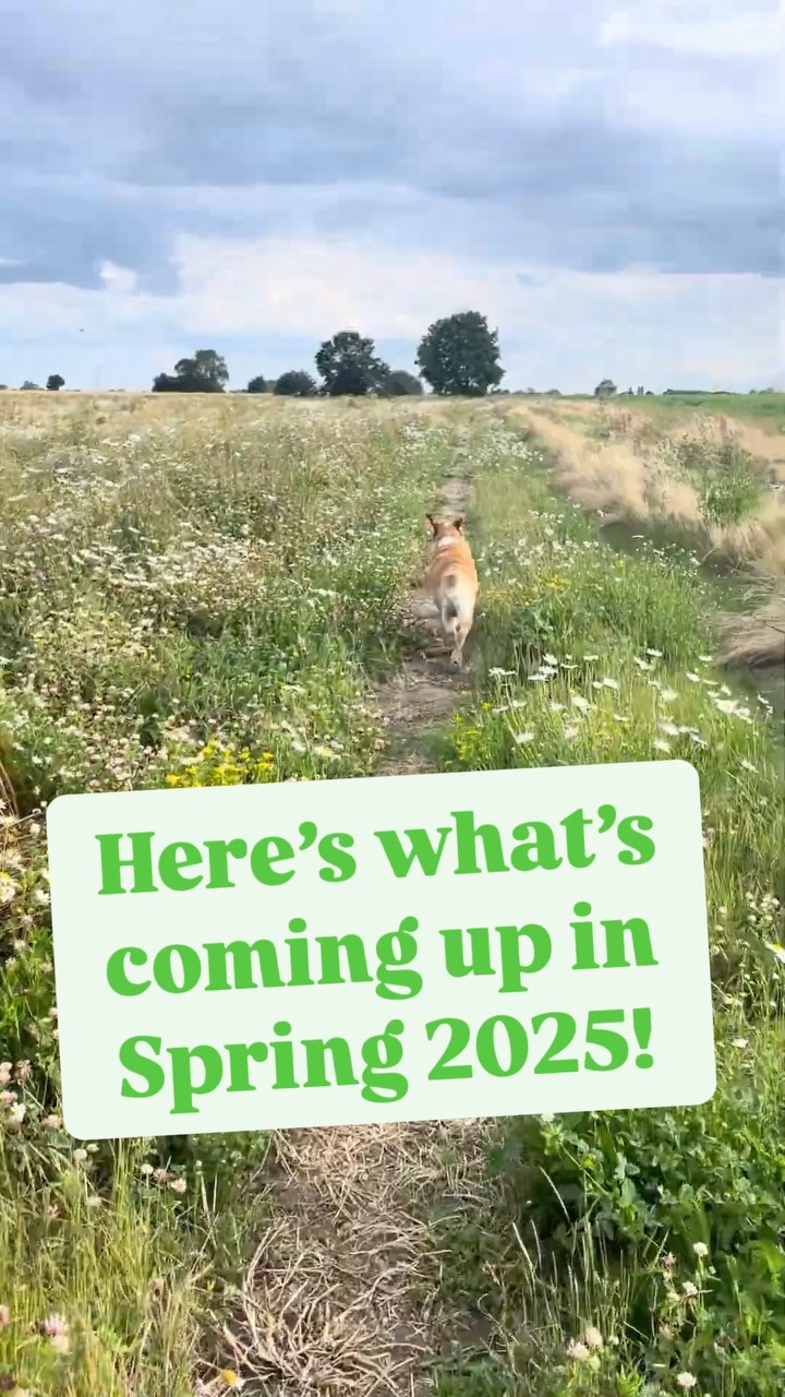 WE’RE BACK!!! 🔥🥳 ⛺️
We always take a bit of a break on here at the start of the year but just cause you don’t see much from us doesn’t mean we’re not busy! We have so many exciting things planned for 2025 kicking off with some amazing workshops!
You know where to find more info 😉
#suffolkcoast #suffolk #woodfirecooking #suffolkcountryside #thesuffolkcoast #suffolkworkshops #folkartfurniture #spooncarving #foraging