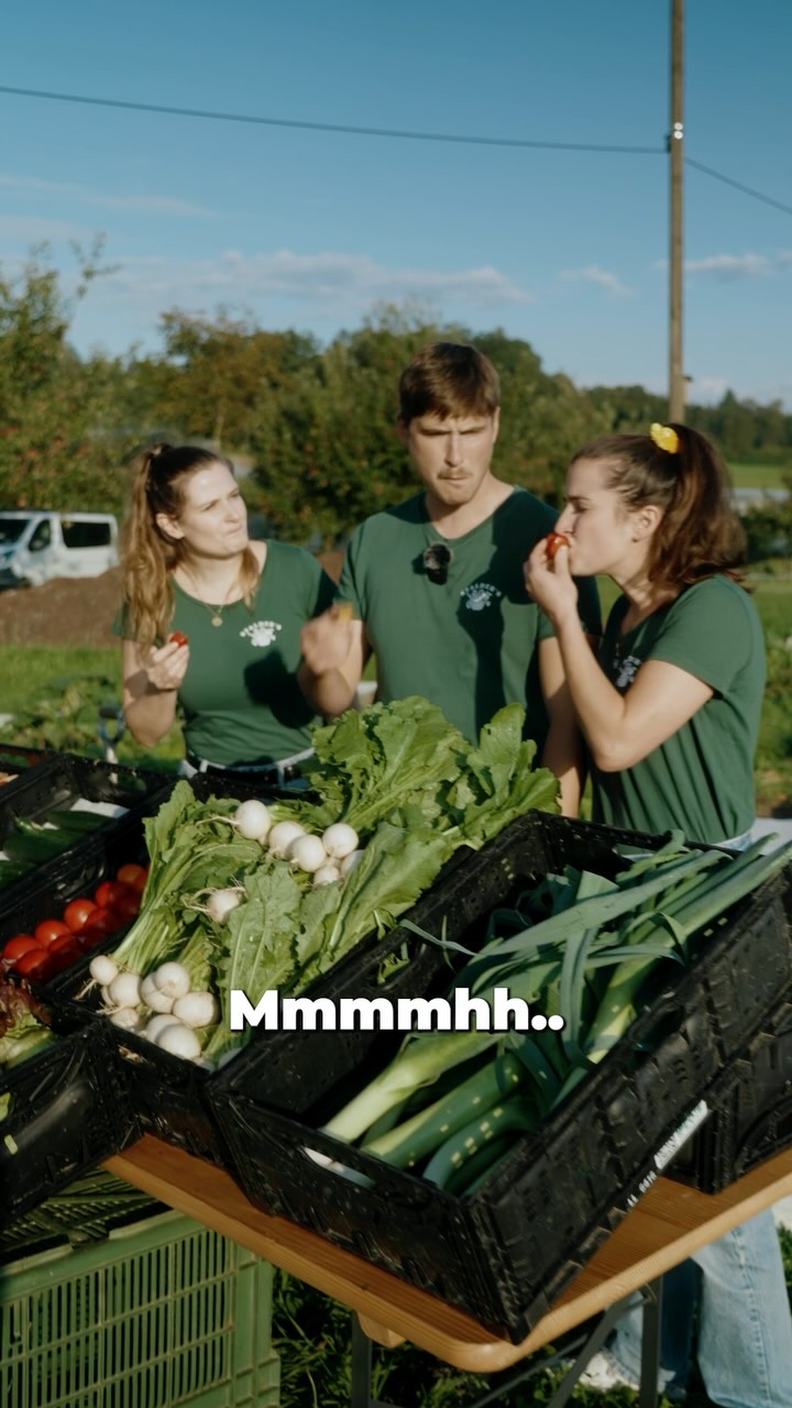 Lust auf eine Gemüsekiste, die du dir jede Woche auf unserem Hof selbst zusammen stellen kannst?😊🥦🫛🍅
Mehr Infos findest du auf www.biohof-stalder.ch
.
.
#demeter #bio #frisch #gemüseabo #auswahl #gesund #nachhaltig #regional #saisonal #abhof
📸@enneanieminen