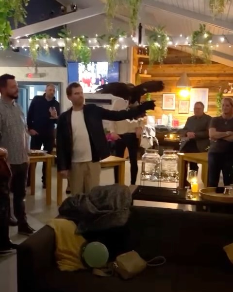 Had a very special guest in last night. Apparently the trainer was involved in training all the Owls for Harry Potter. Wingardium Leviosa!!!