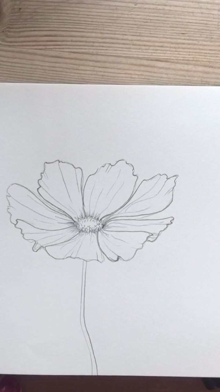 Today we sold 140 of our paper cosmos kits on @etsyuk. This is an unusual occurrence but very welcome. As we stood in the studio, cutting and rolling the papers to go inside the boxes, I thought back to a sunny summer’s afternoon five years ago when I first brought a bunch of cosmos to study. This evening I waded through the hellish backwaters of our early filing system and found this little study that I did. I wanted to share something about that today. That you never know if today’s little moment of inspiration might one day become a solid brick in the foundation of your business. #smallbusinessowner #sketch #floralsketch #paperflowerkit #cosmos #inspiration #springtime #berginandbath