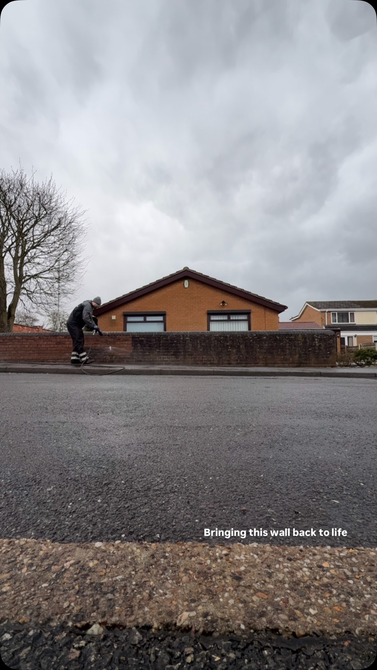 Bringing this wall back to life 🤩