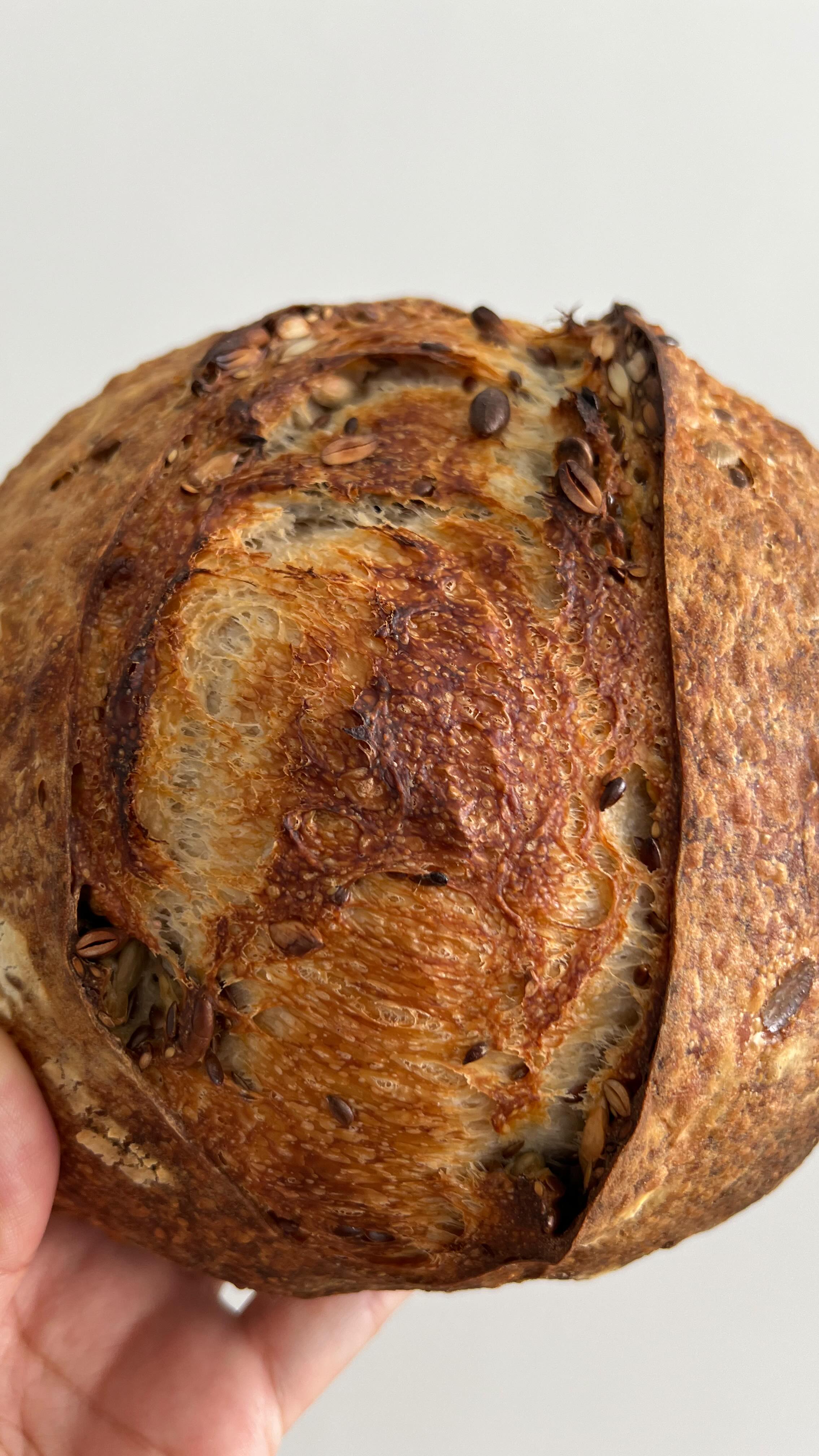 Seeded sourdough loaf for the gram today.
#seededsourdough #bread #sourdough #breadonthetable #breadstagram #breadforlife