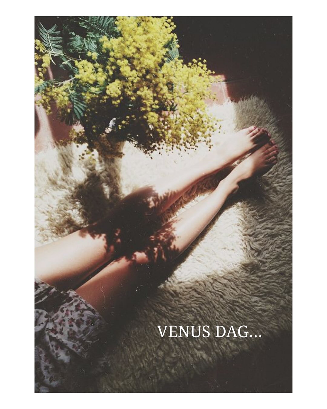 ”Og den
dag kom
hvor risikoen
for at forblive
fortættet i en knop
ville være mere smertefuld
end at tage den risiko
det kræver
at skulle blomstre”
~ Anaïs Nin
#venusdag
_______________________________________
Bidrag: @purplespacecowboy, @sitora.yusufiy, @arthunter.me, @the.nightwatchers, @templeofleaves, @seaneewyork, @india.ameye, @rubinam_, @gilbertkann, @sifiaatmokkasin, @aniwa.co @blumenhausemagzine