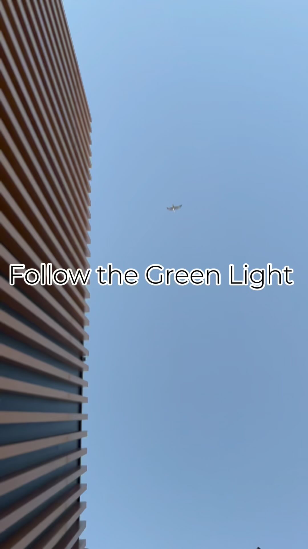 Follow the Green Light
by Agni Chandra 2025
#shaktispeaks #visualpoetry #shaktispeaks #docemantaryproject #bodybeautybliss #iseegreen #iseegreeneverywhere #greenlight ##greentara #magic #magiceverywhere #beautyinmyeyes